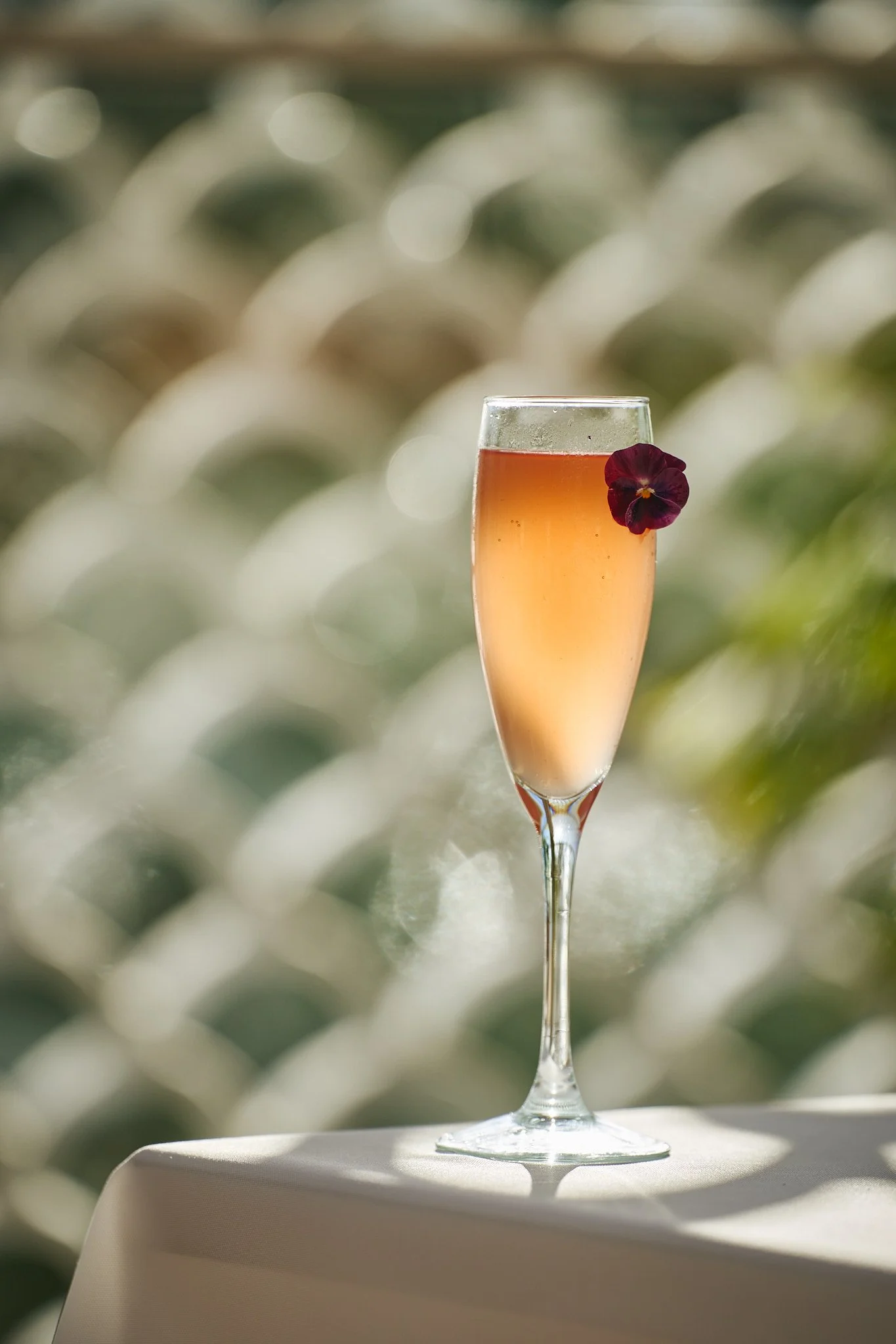 Sea Satin athens_Web Size_SBouzoukas_45.jpg