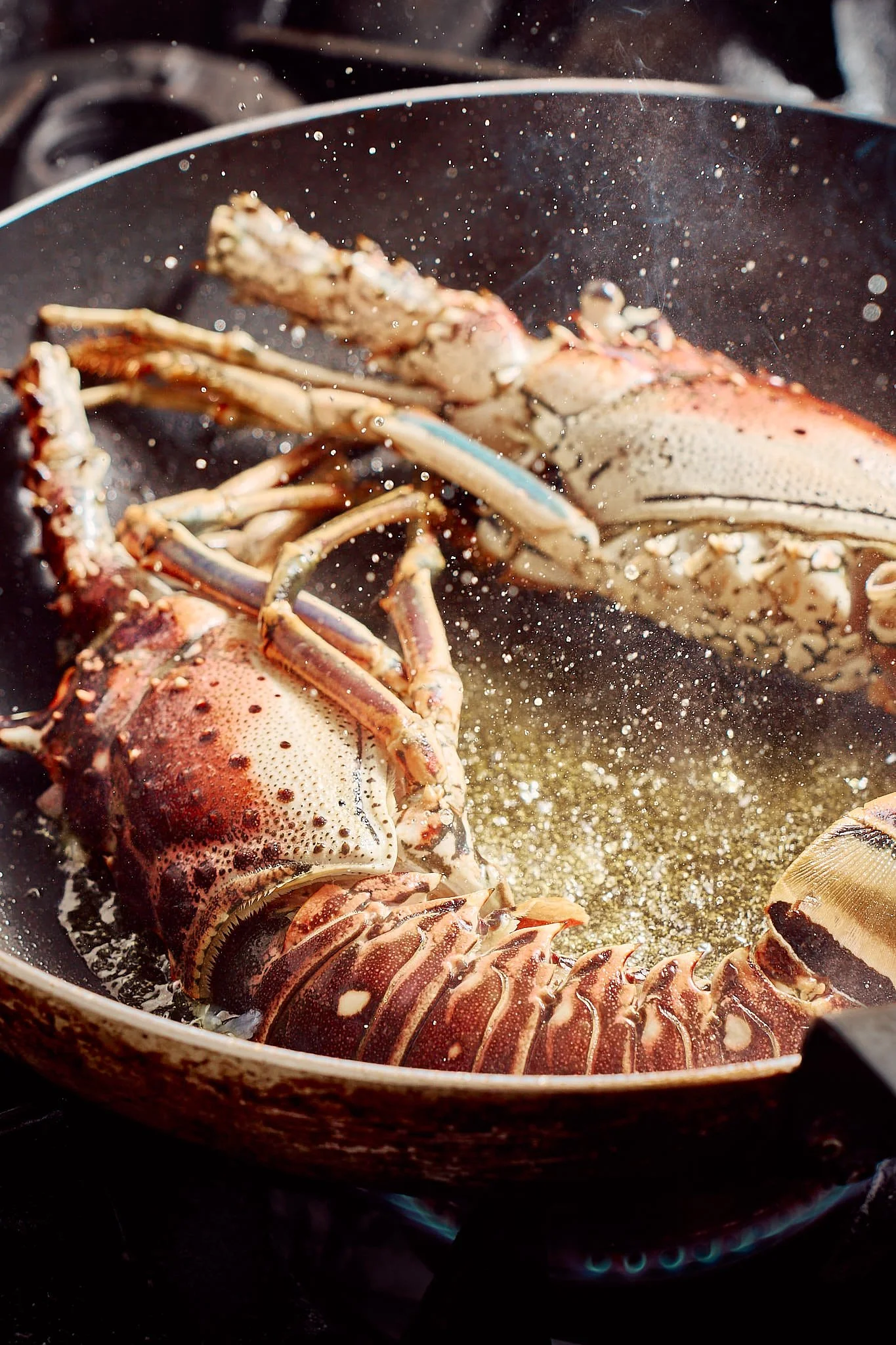 Lobster being cooked in a frying pan, splattering hot oil.