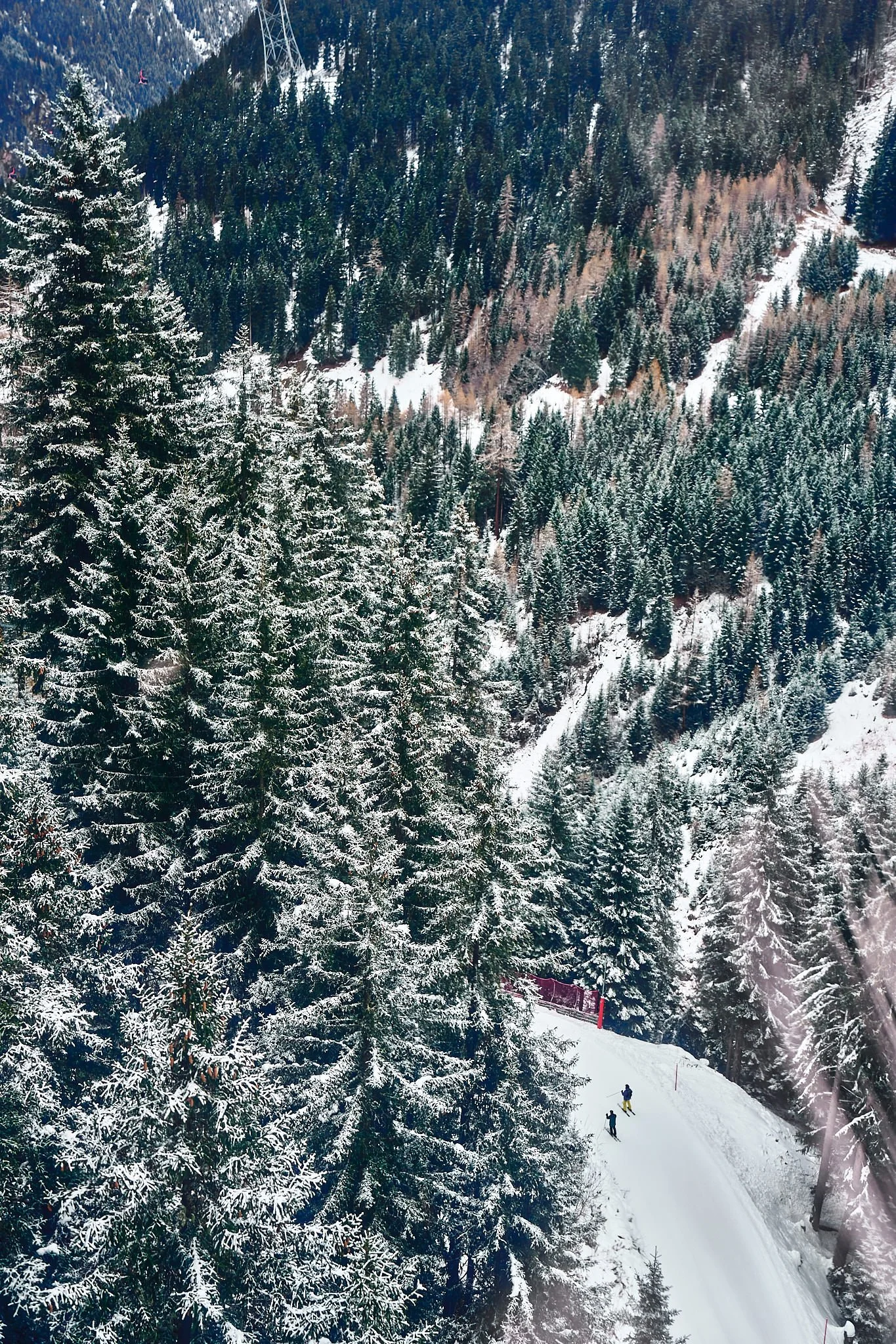 Snow-covered trees on a mountain slope with a ski trail and two skiers in winter clothing.
