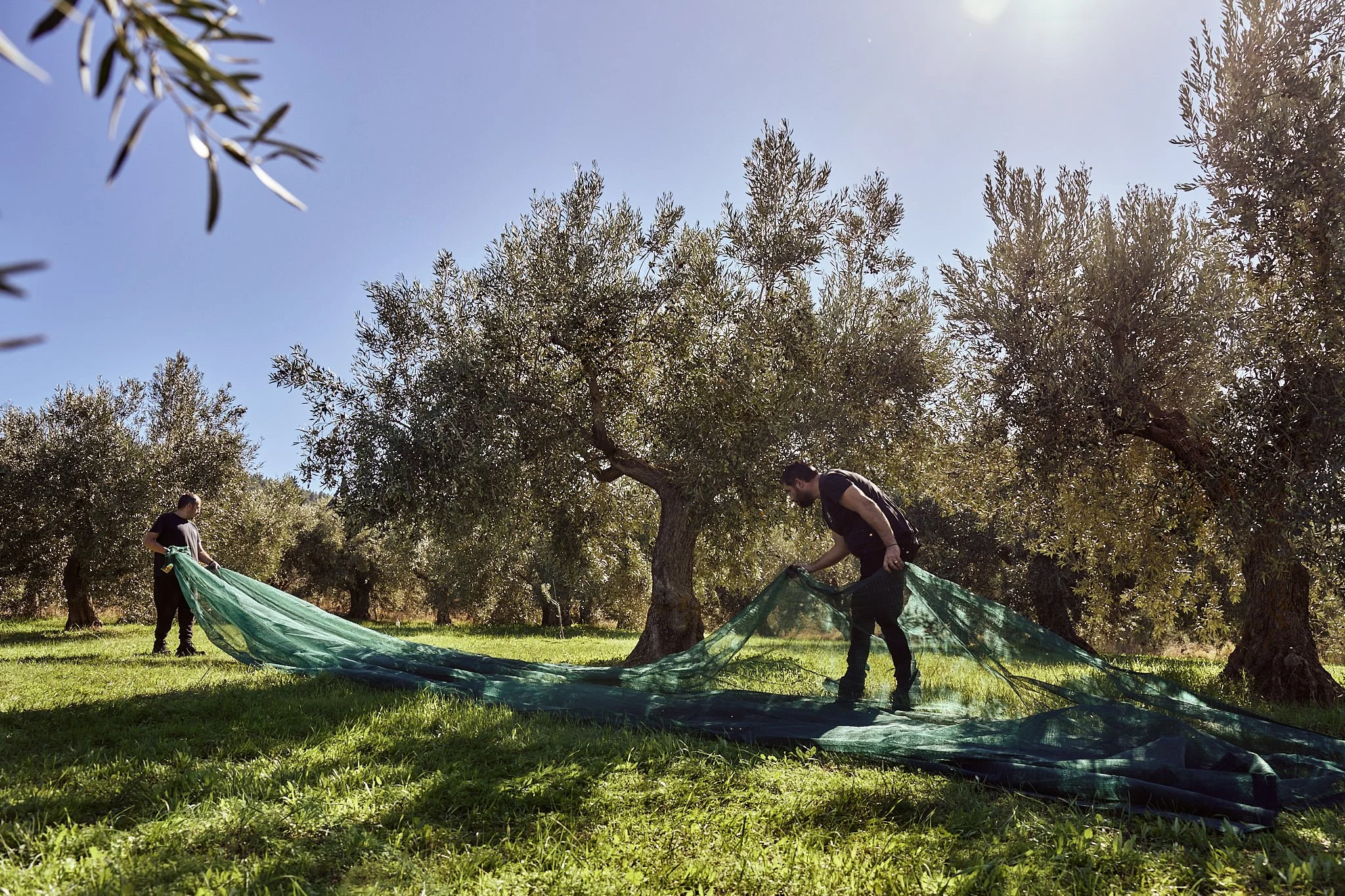 Sellas october_Web Size_SBouzoukas_78.jpg