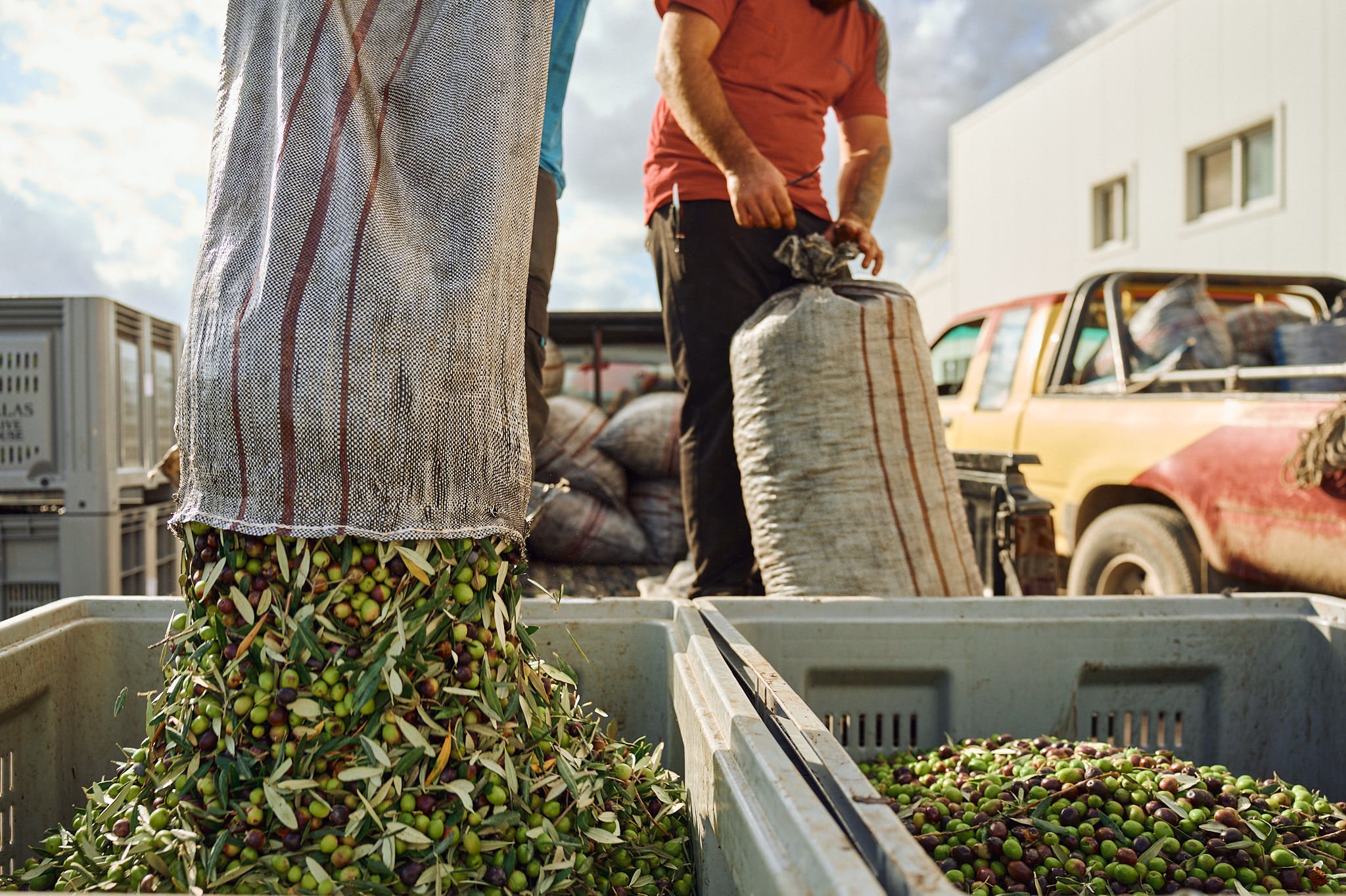 Sellas october_Web Size_SBouzoukas_29.jpg