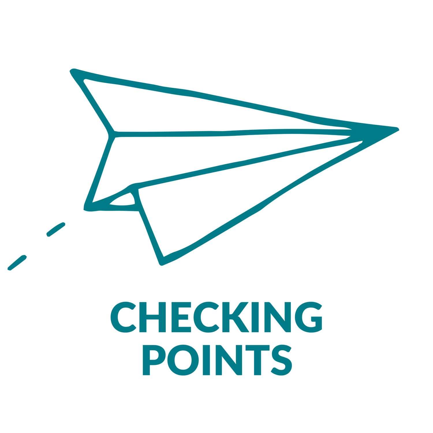 Checking Points