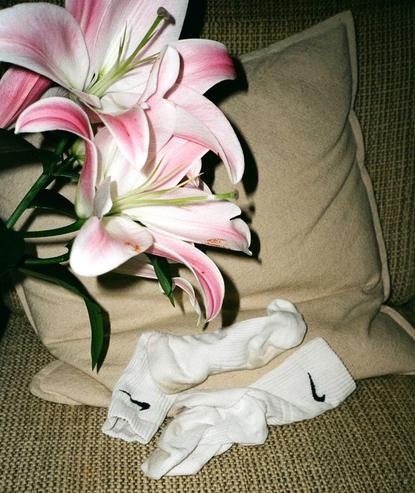 To escape hibernation, add a little pink.

#godsandboys #addpink #onfilm #hibernation