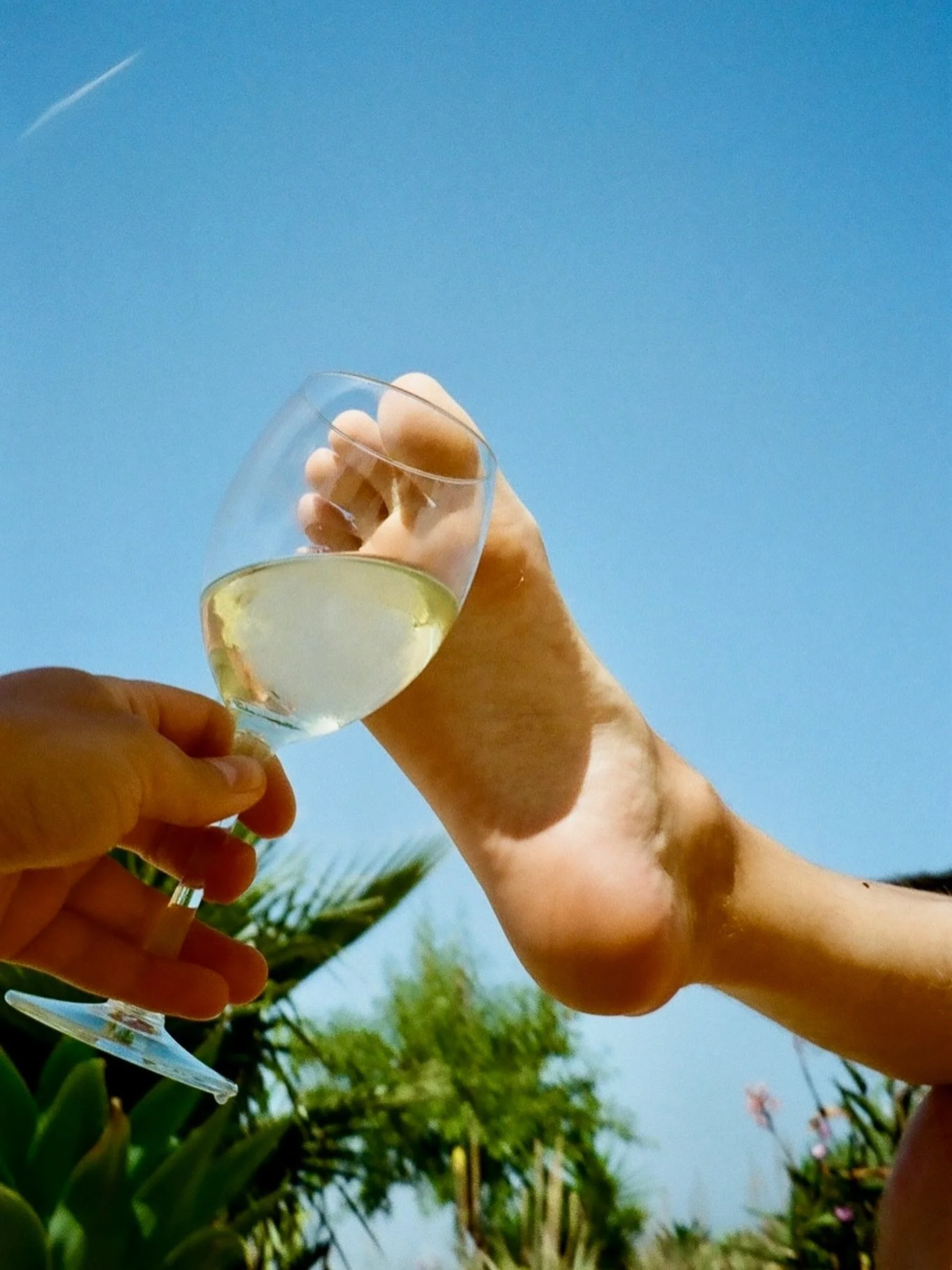 heatwave remedy.
cold wine, warm bodies,
questionable manners.

#godsandboys #heatwave #sunkissed #poolboy
