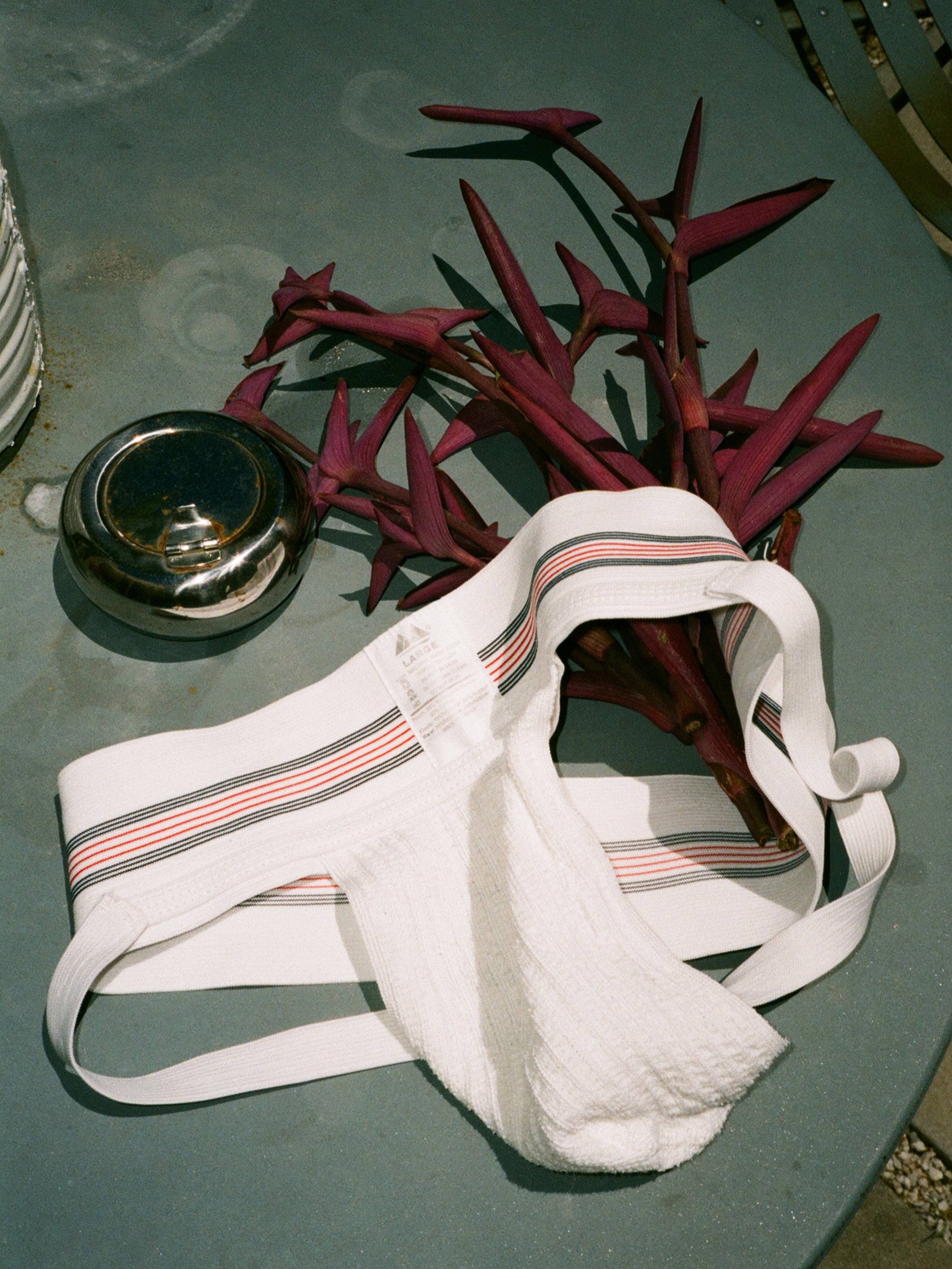 SUMMER, STILL.
Flowers on the table. Something left behind.

&rsaquo;&rsaquo; This photograph is available as a single archive print in my shop. Link in my story or via DM.

#godsandboys #onfilm #archive #sunkissed