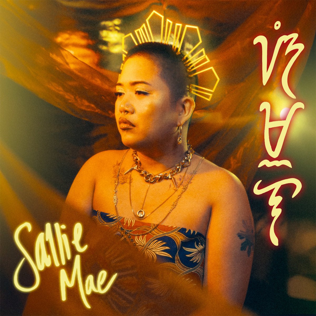 SallieMae - Simula (Producer, Recording Engineer, Session Musician)