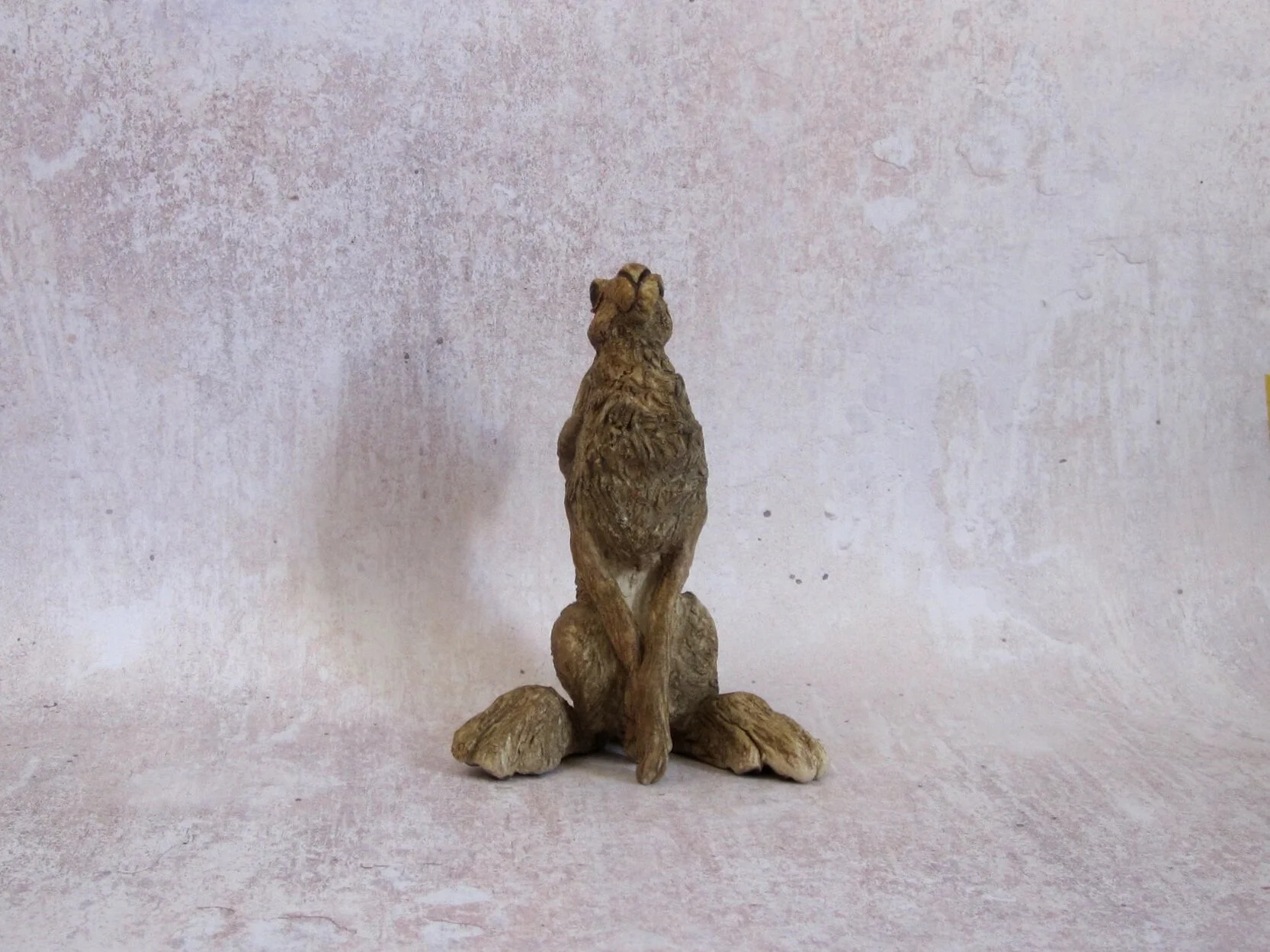Amy Hare front image