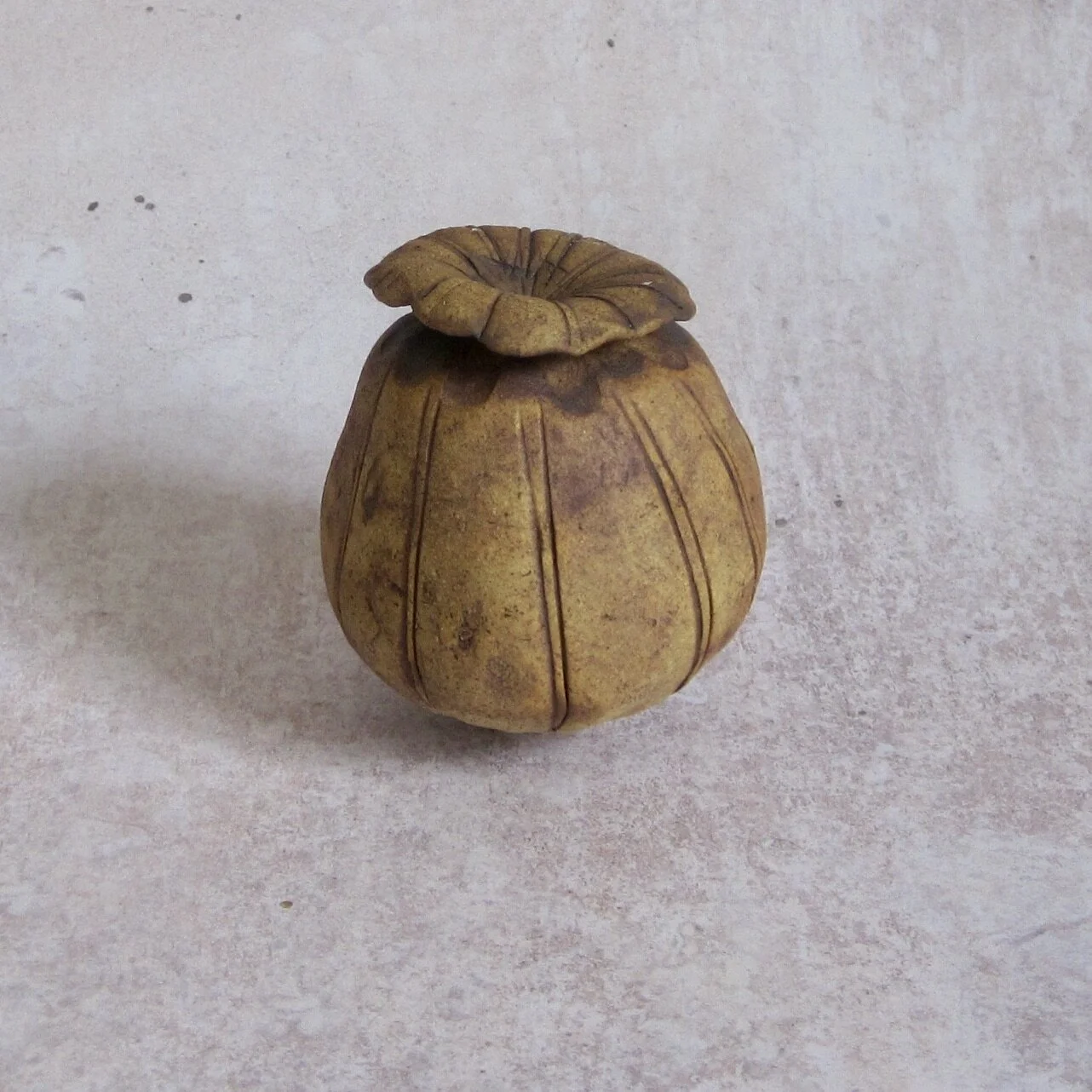 Small poppy seed heads