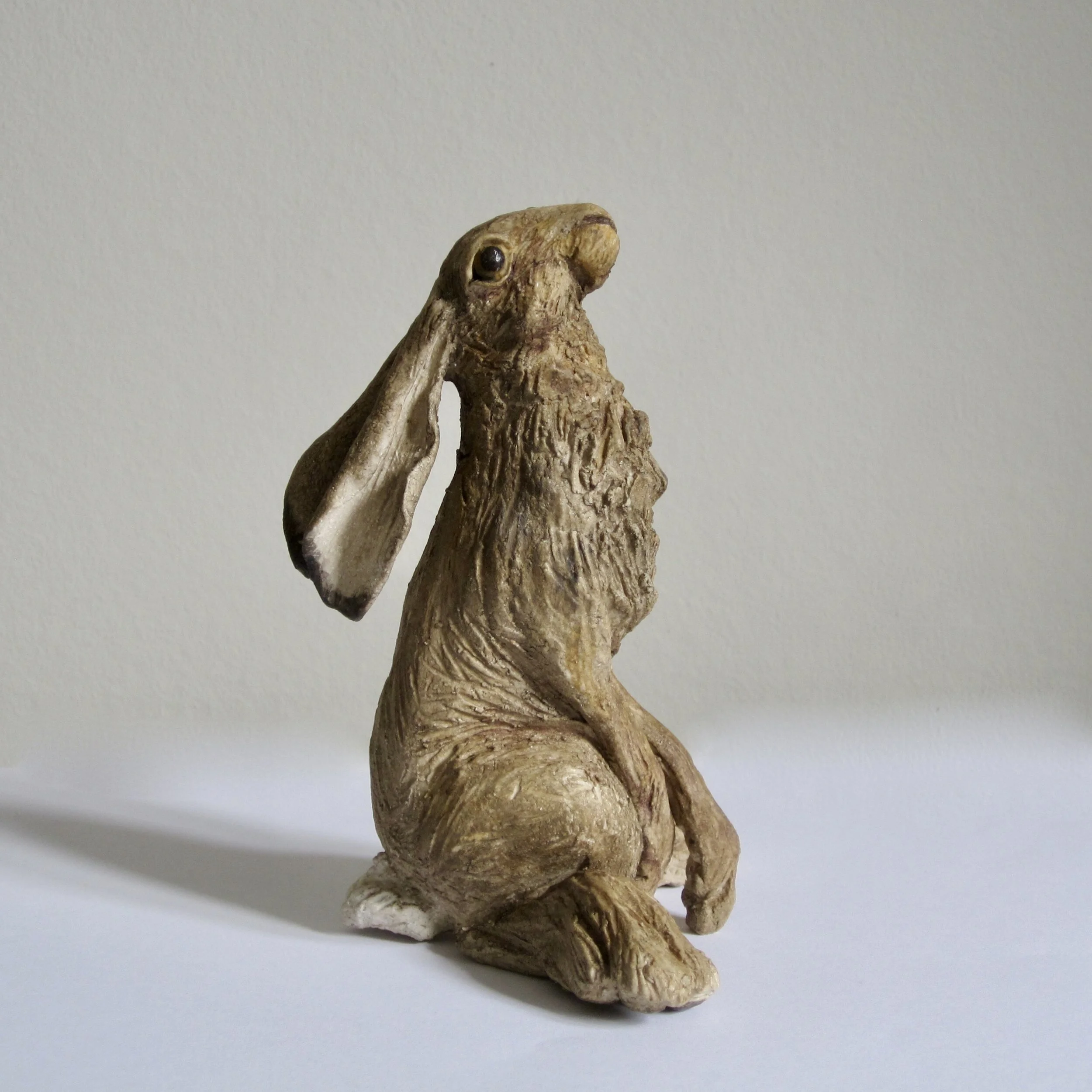 HARES