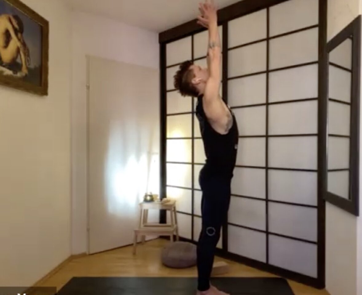 Hatha Yoga Offline und Online