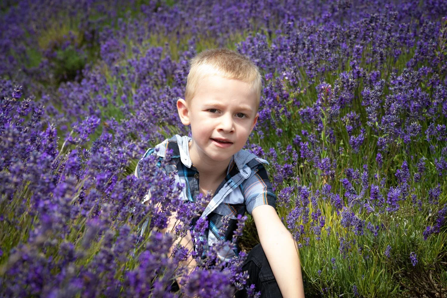 

At the gorgeous lavender fields at Cotswold Lavender