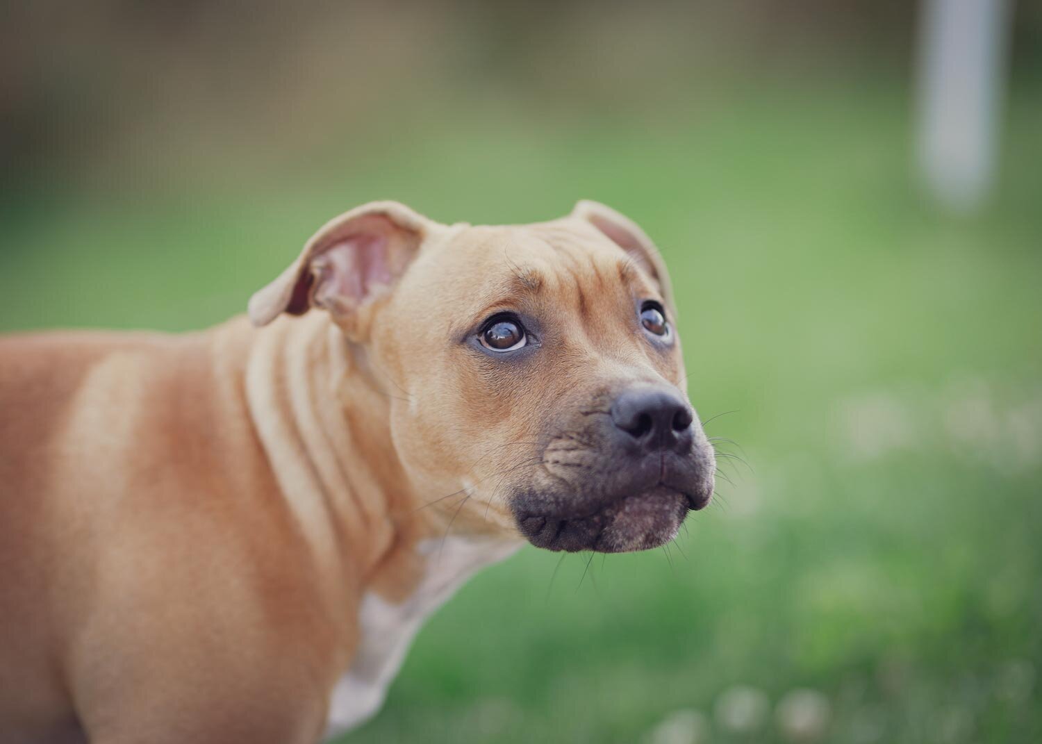Those eyes!