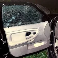 Cherica Adams Image (1).jpeg