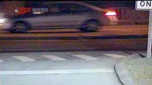 Skyler Neese Video Image (1).jpeg