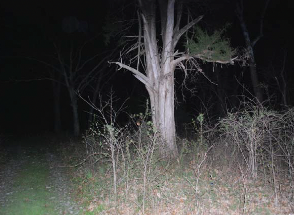 Screenshot 2025-09-10 at 1.36.23 PM.png