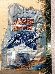 Jane Doe Ice Bag.jpg
