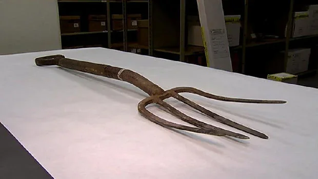 William Bradford Disappearance (1).webp