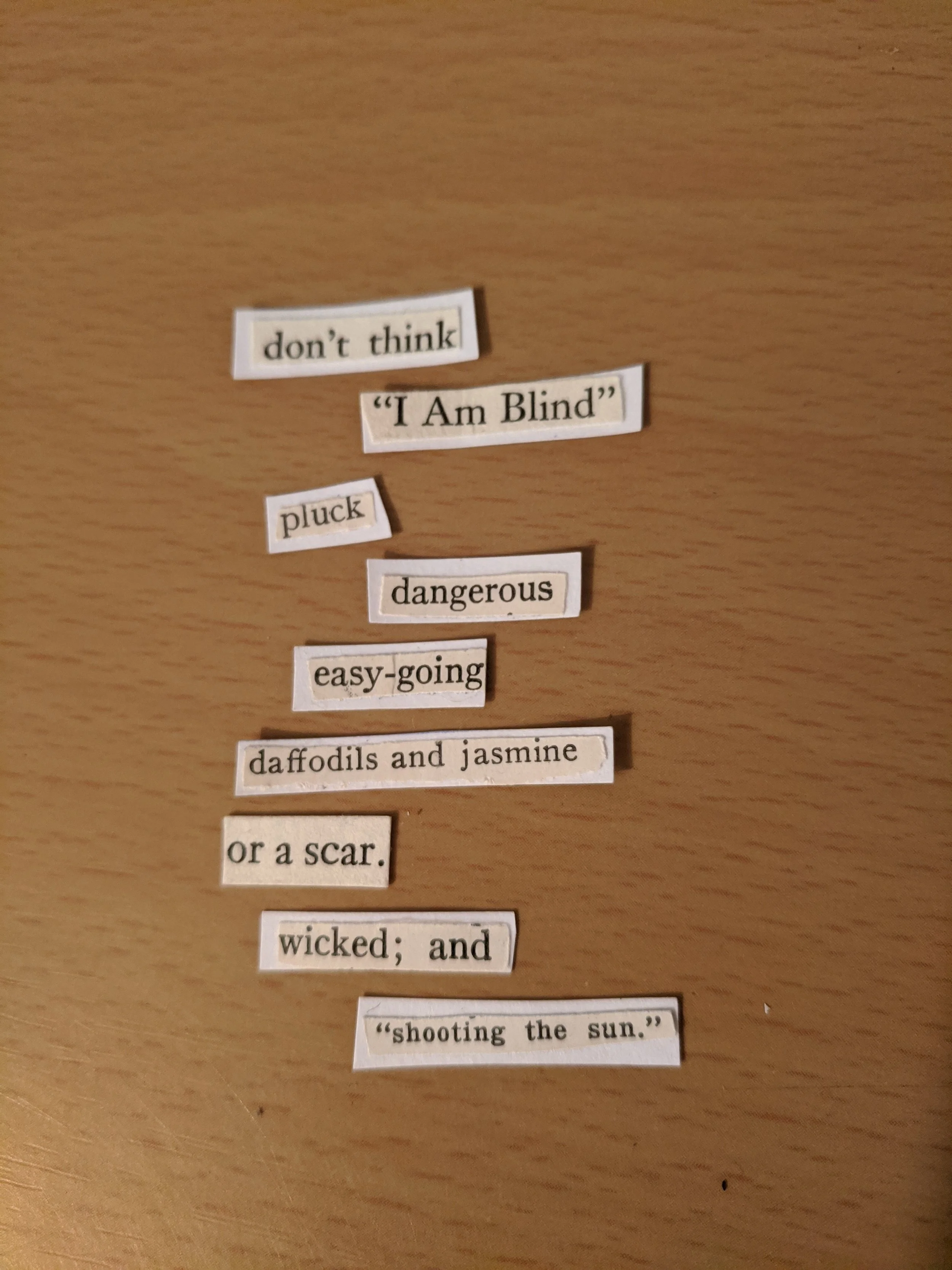 A series of cut-out words and phrases arranged vertically on a wooden surface, forming a quote about perception, danger, and the sun.