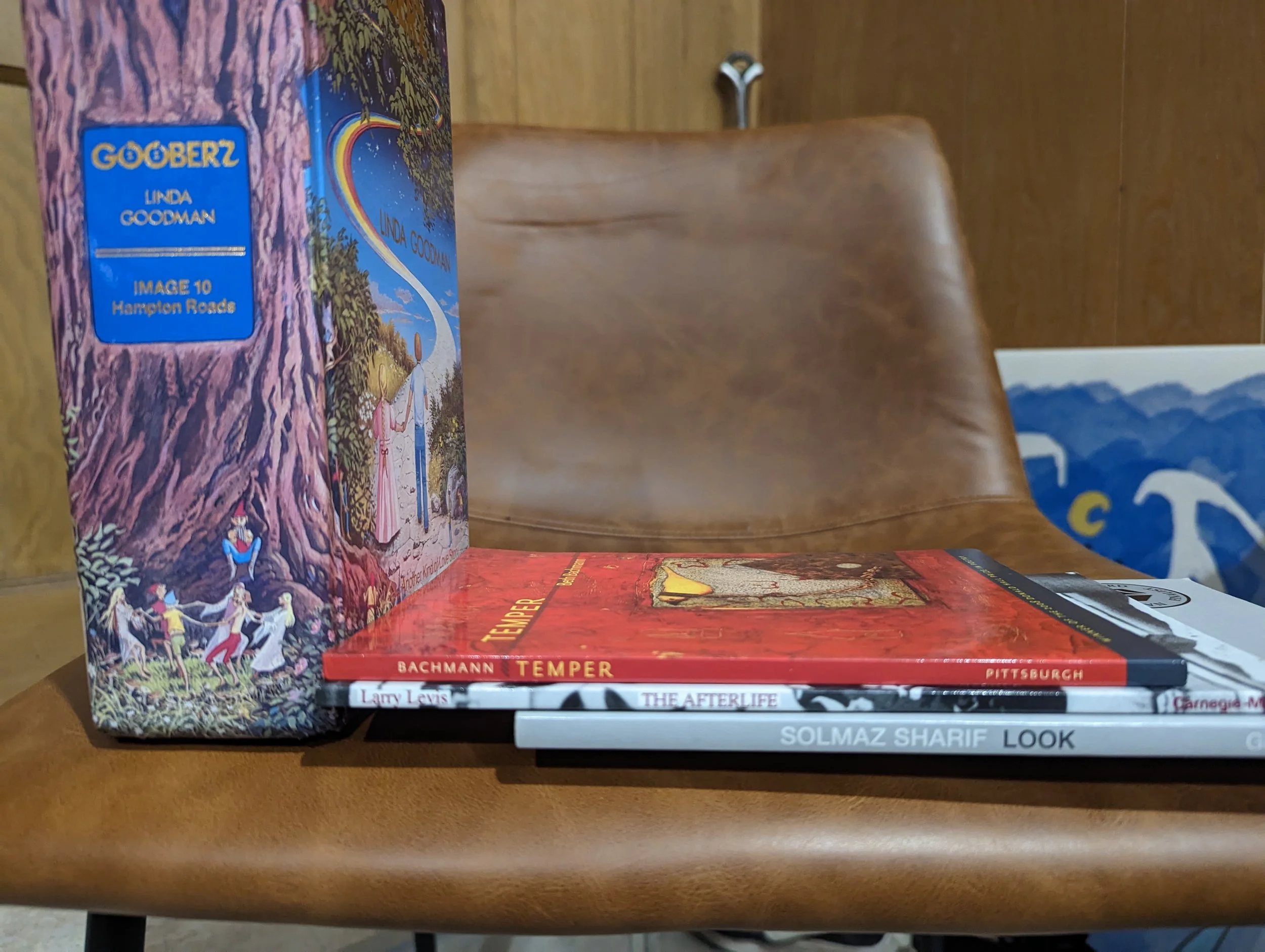 Books stacked on a wooden table with a brown leather chair in the background. The top book features colorful art and the title 'GOOBERZ' with the author's name, Linda Goodman. Beneath it, there are several other books including 'TEMPER' by Bachmann, 'THE AFTERLIFE' by Larry Lewis, and 'LOOK' by Solmaz Sharif.