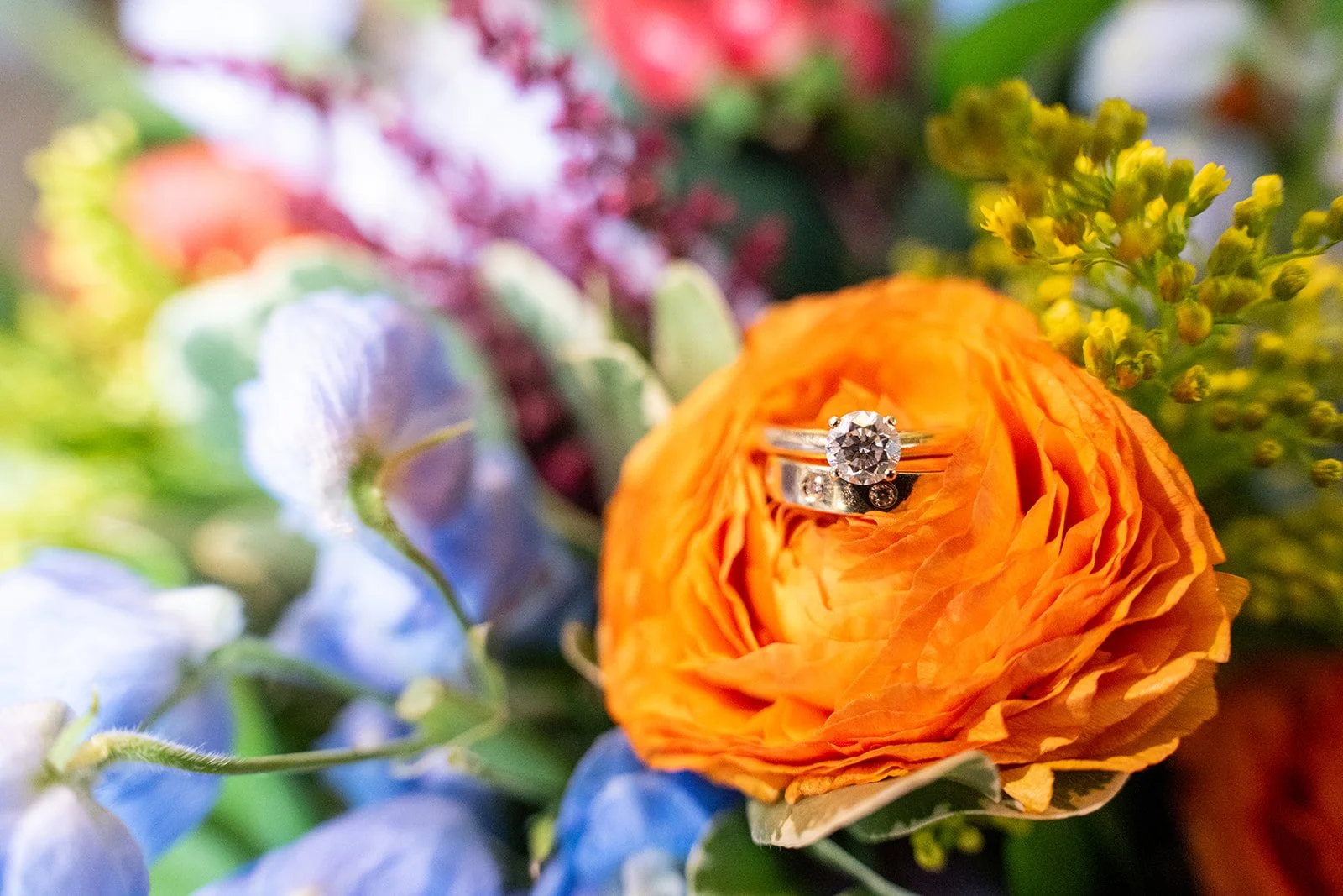 Gray and Gardner Photo-Lavender Oaks Farm-A+J Sneak Peeks-5_websize.jpg