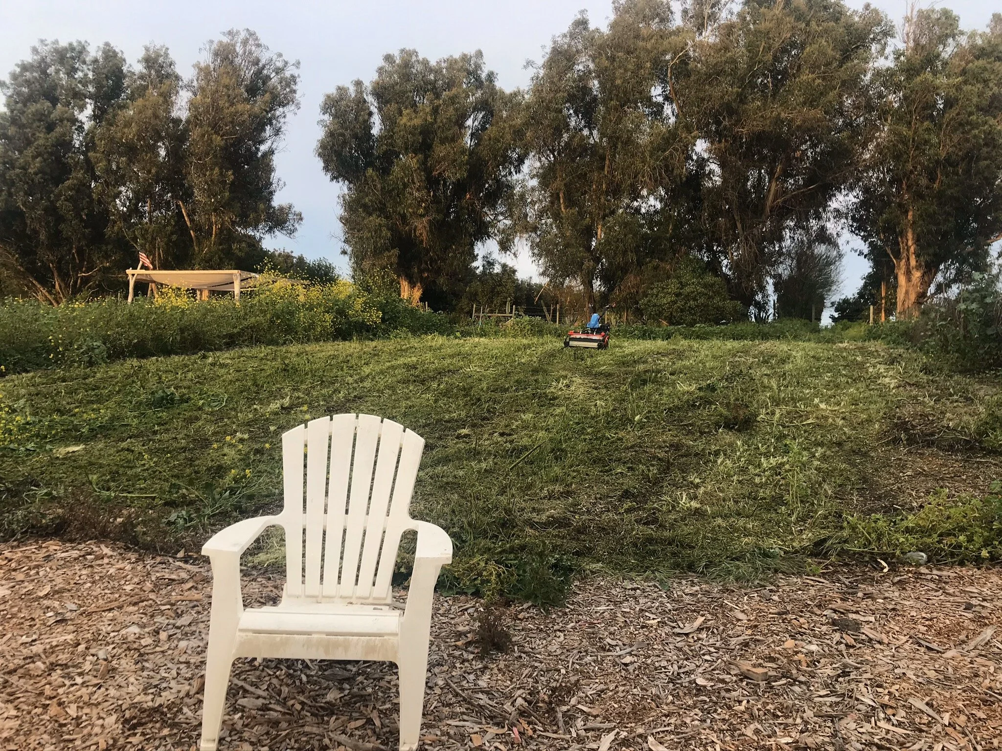 chair and mower.jpeg