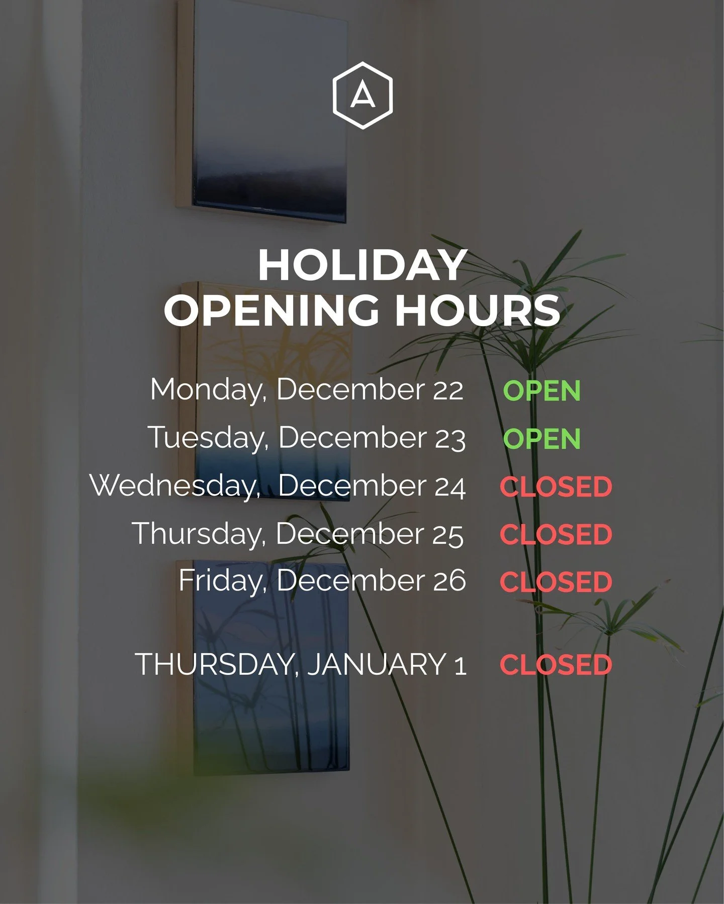 Don't miss your chance to look amazing for every holiday celebration ✨

This is your last opportunity to get holiday-ready before we close for the season. Book your appointment for Monday or Tuesday and start the holidays feeling confident and beauti