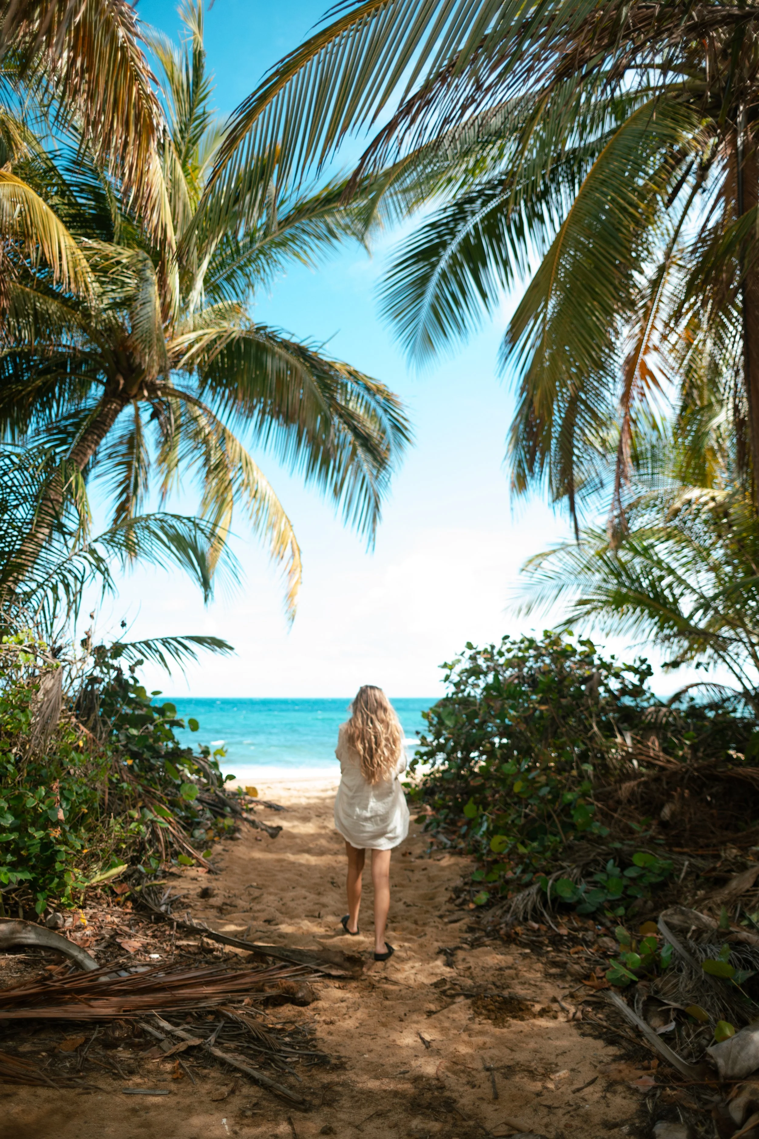 03.26 Vieques, Puerto Rico