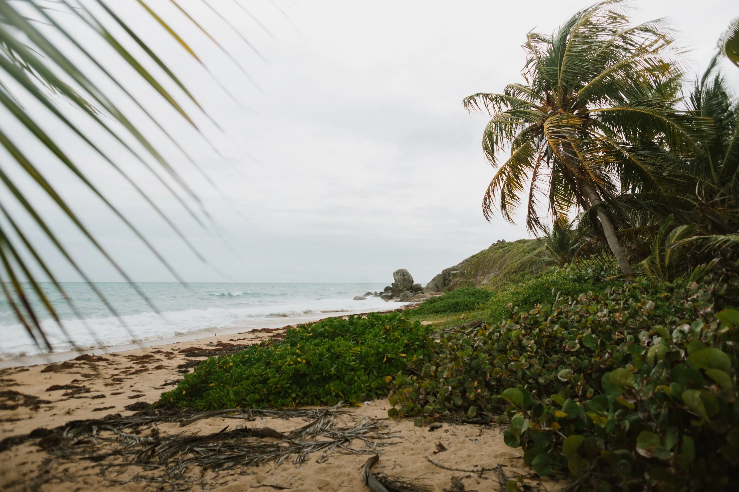 03.26 Vieques, Puerto Rico