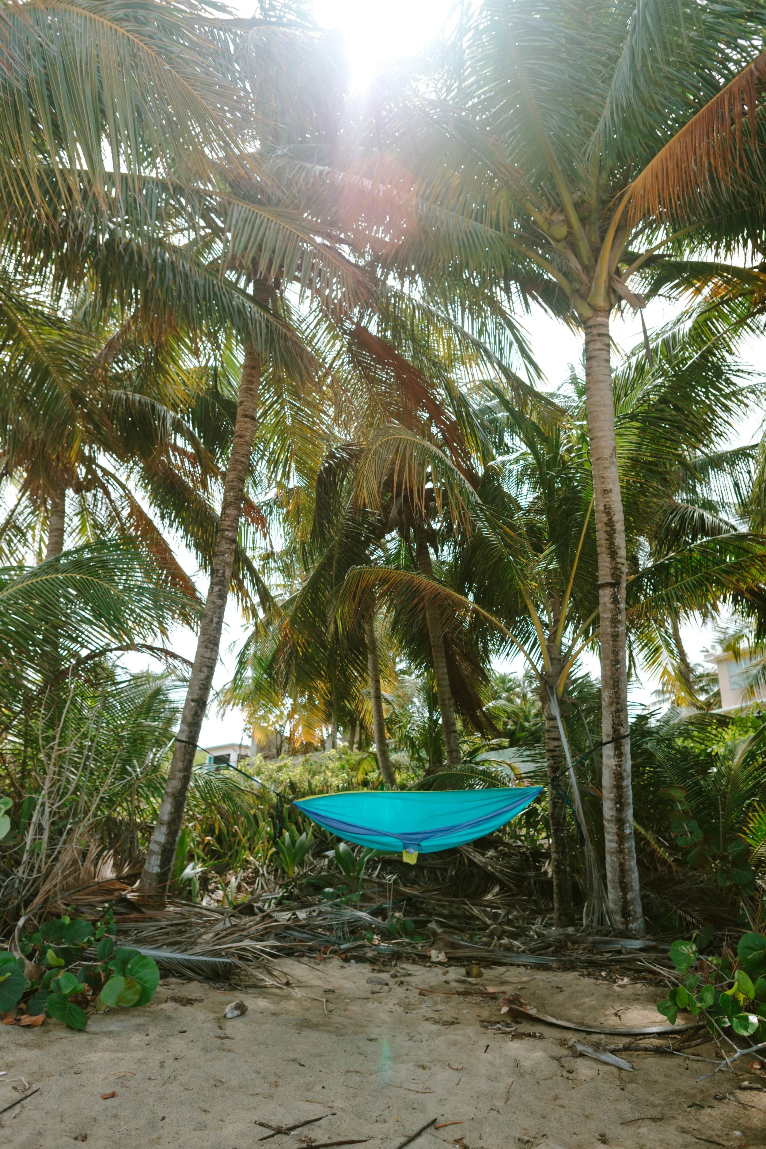 03.26 Vieques, Puerto Rico