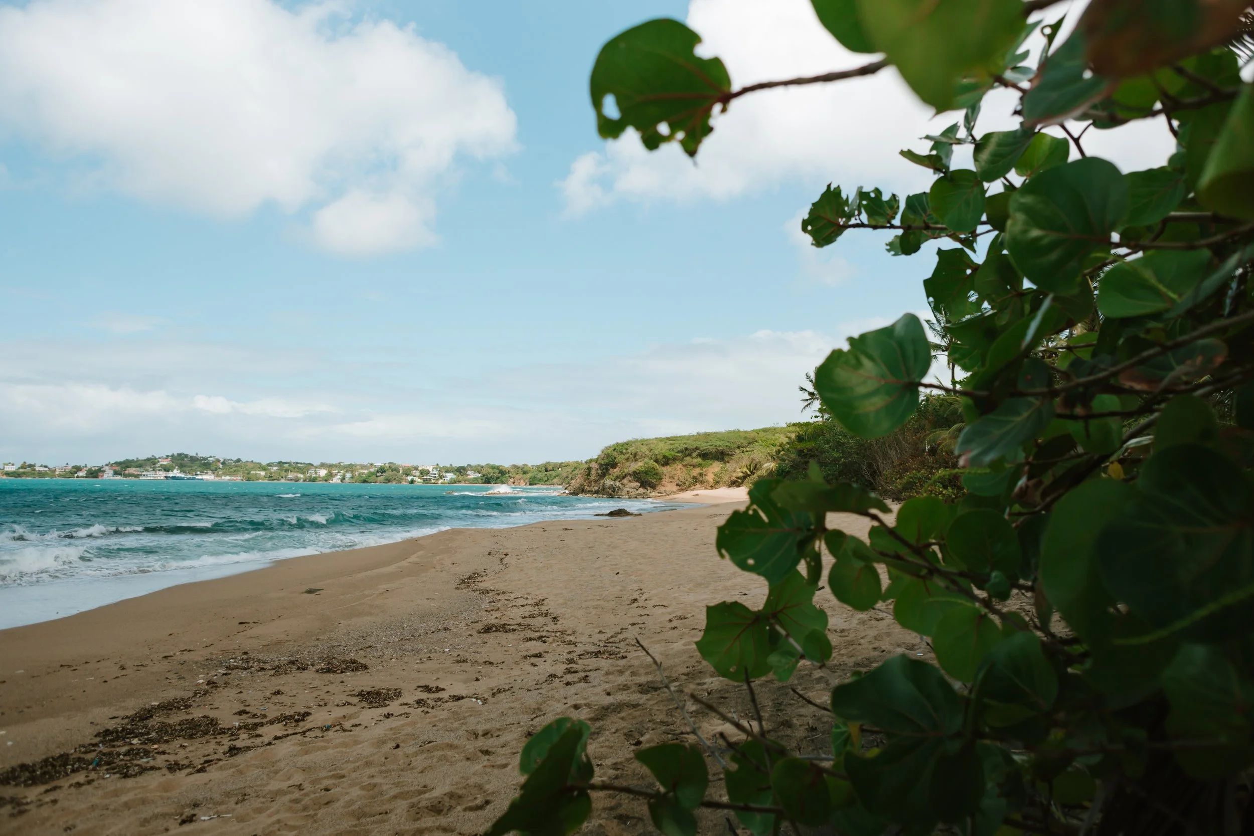 03.26 Vieques, Puerto Rico