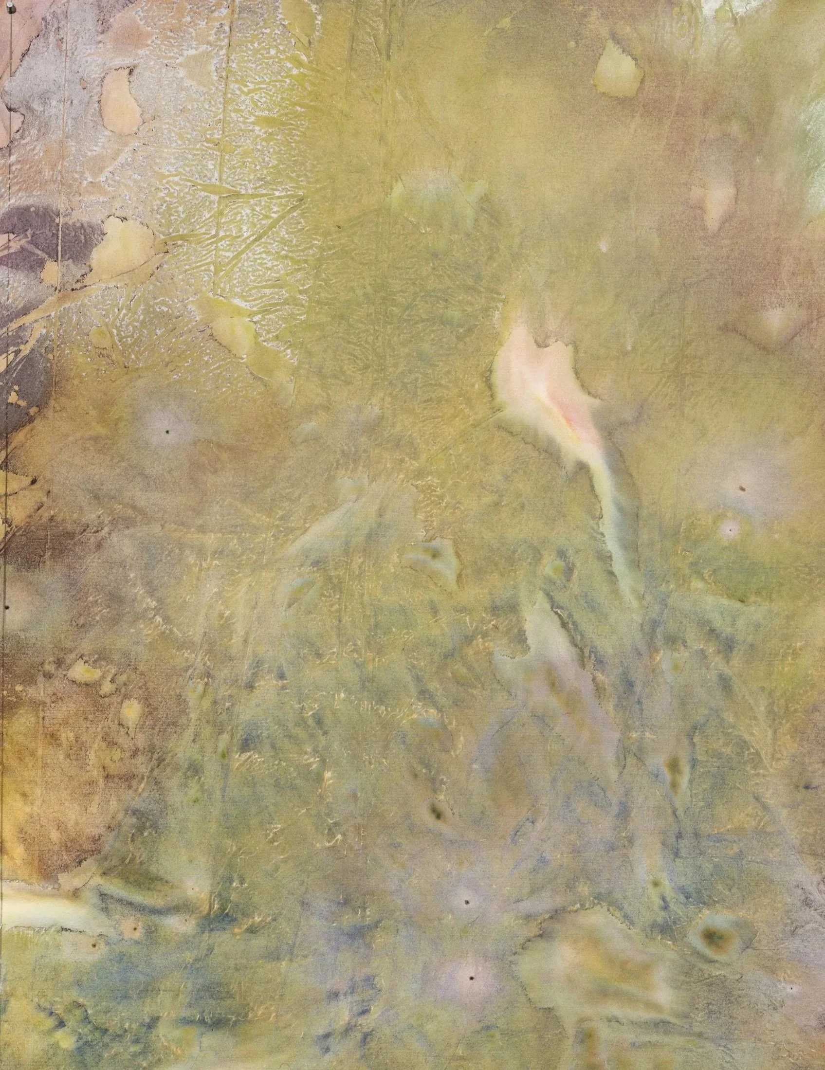 DSCF2284.jpg