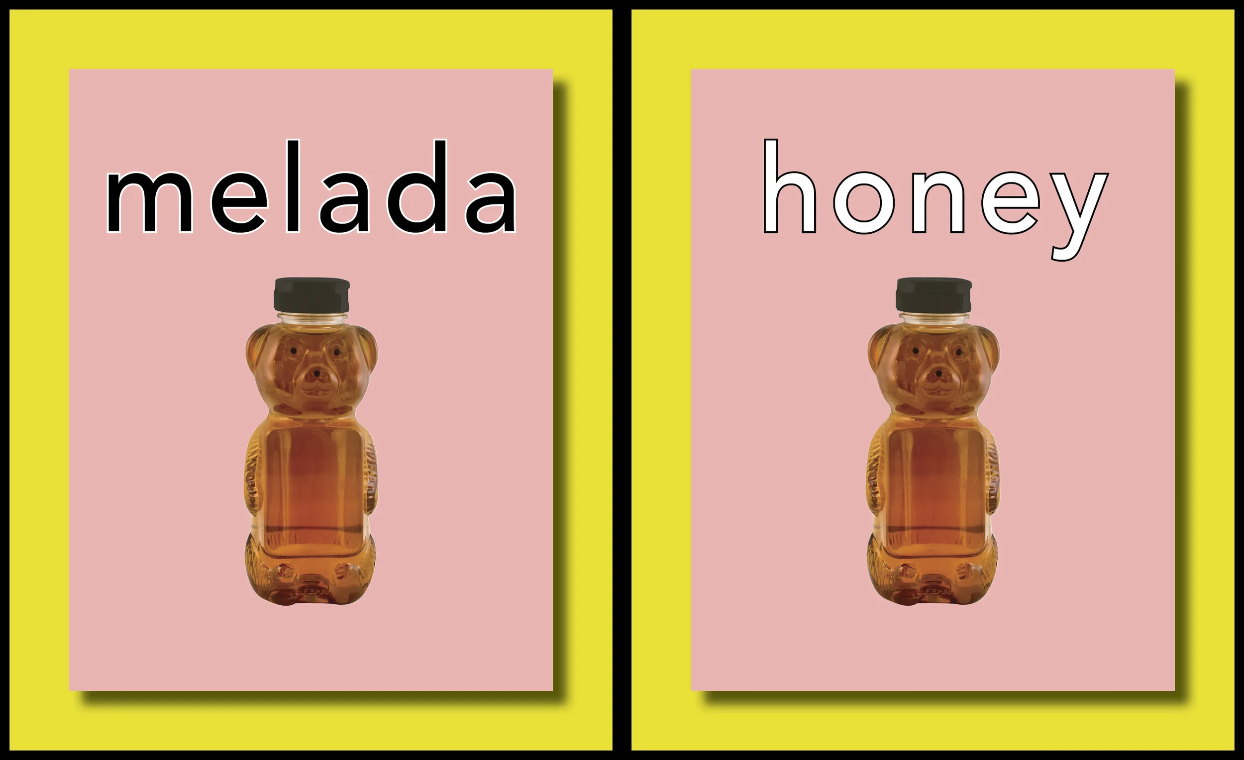 Digital Flashcards