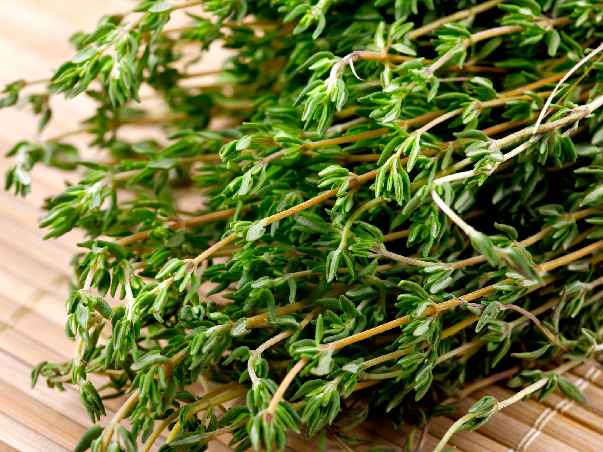 Thyme Herb Benefits.