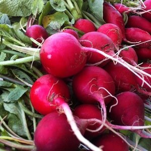 Health Benefits Of Radish