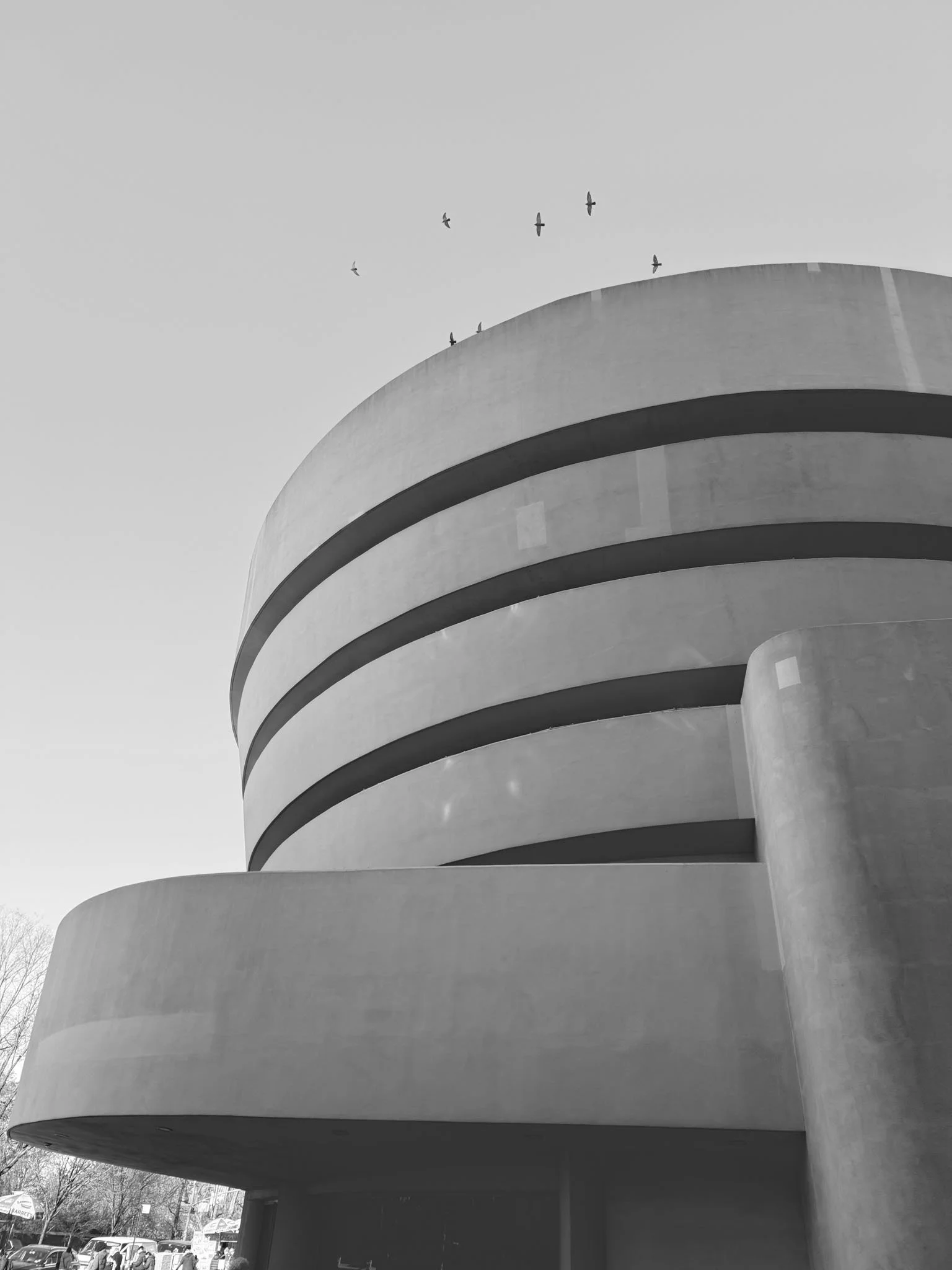 Exterior view of the Guggenheim Museum in New York with curved architecture in winter light.
