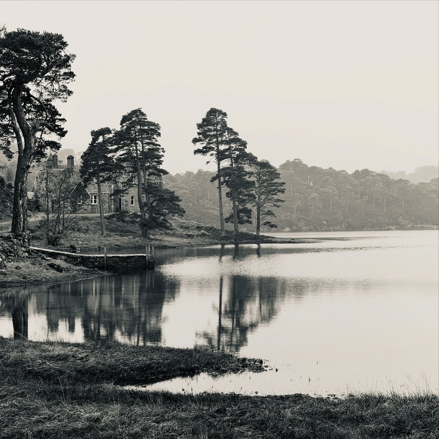 The serenity of Scotland #scotishhighlands 
.
.
. 
.
.
.
#photography #views #lookaround #moments #nature #nomadiclife #nomads #wanderer #setlife #producer #film #adventureiseverywhere #scotland #glenaffric #lochaffric #highlands