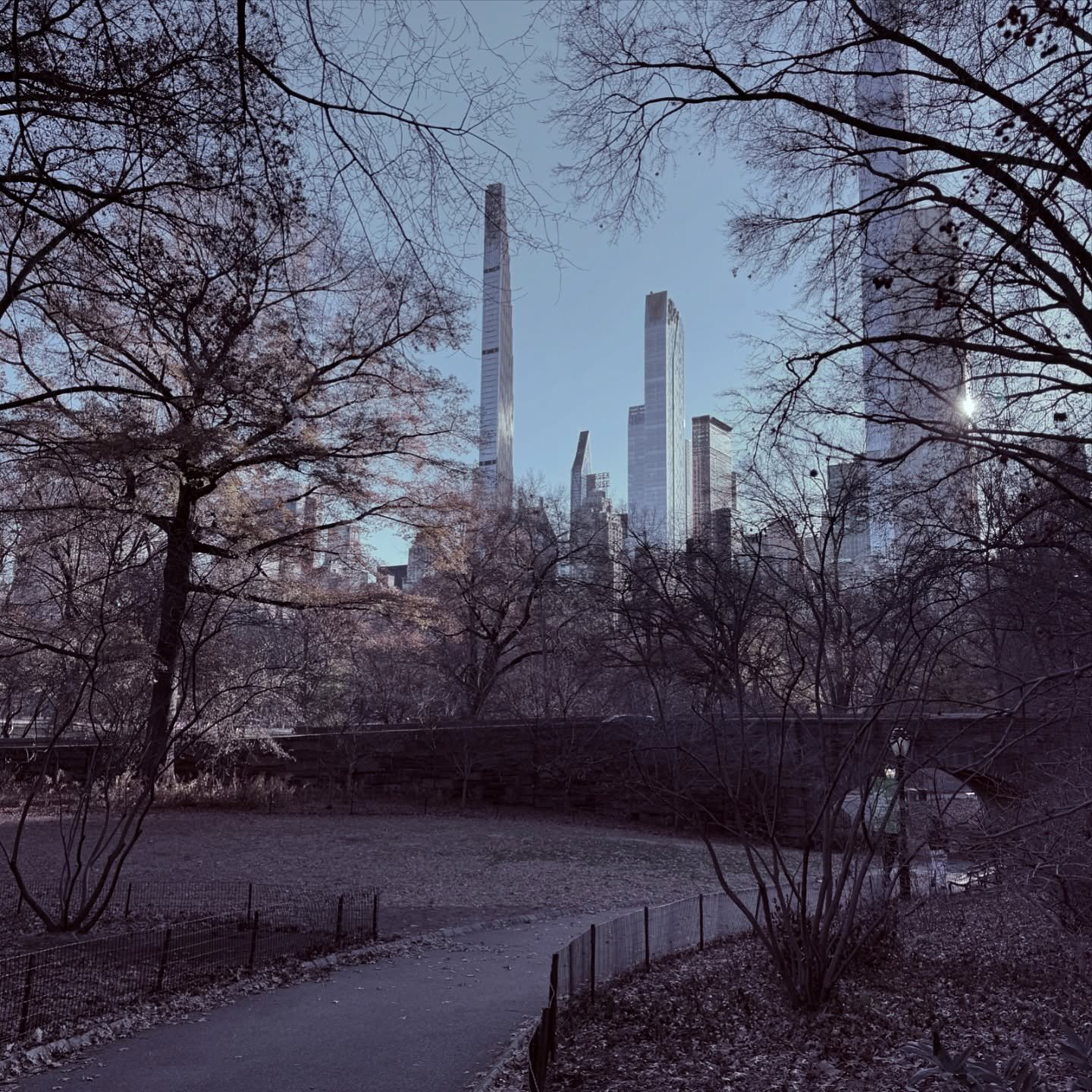 A cold but beautiful walk through Central Park #dec24 
.
.
.
.
.
#newyorkcity #arcitecture #arcitecturedesign #filter #photography #birds #newyork #dec24 #wondering #nomad #filmlife #creativephotography #lookup #manhatten #centralpark #newyork #autum