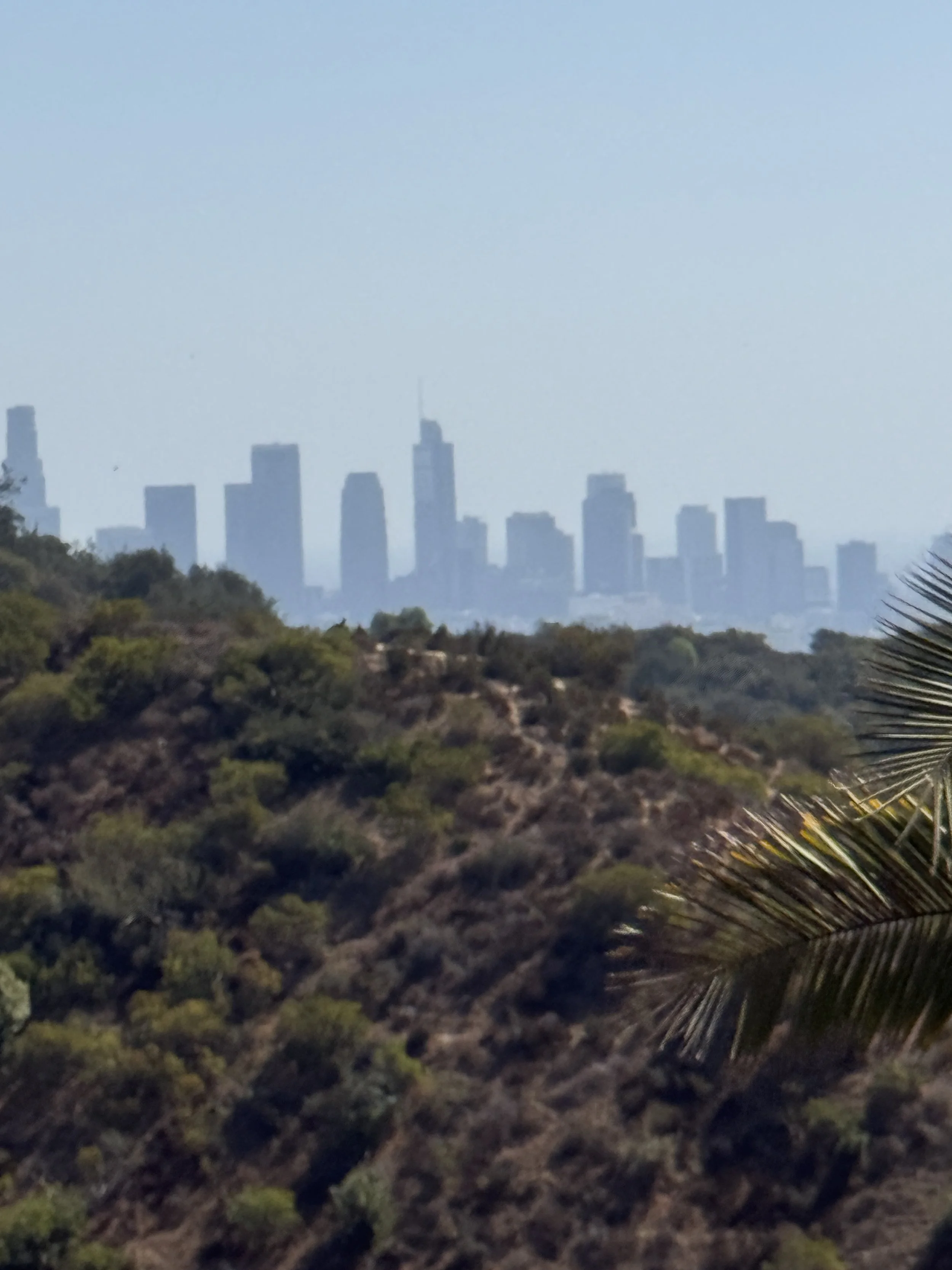 Los Angeles Skyline from Hollywood Hills