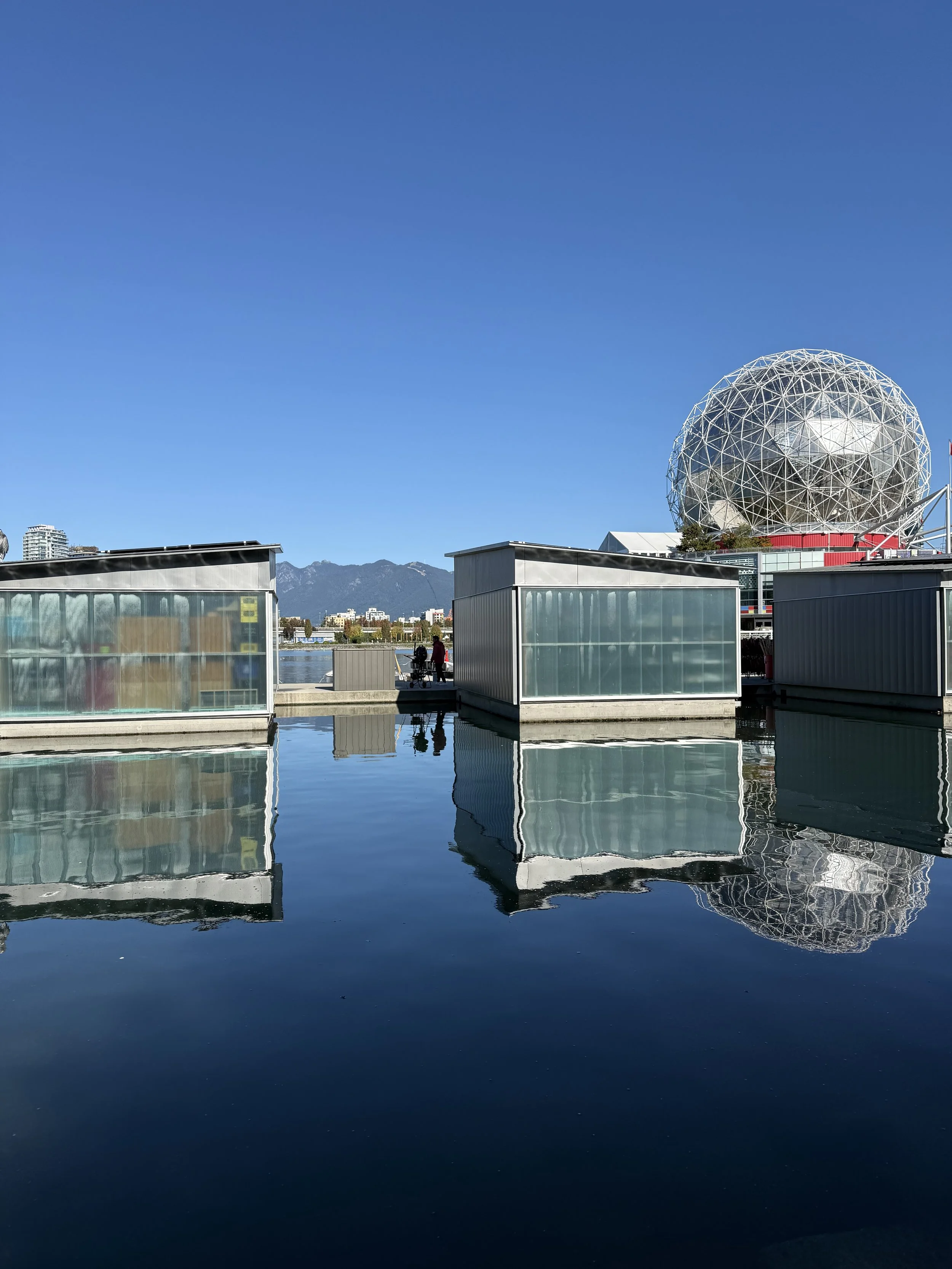 Walks in Vancovuer.jpeg