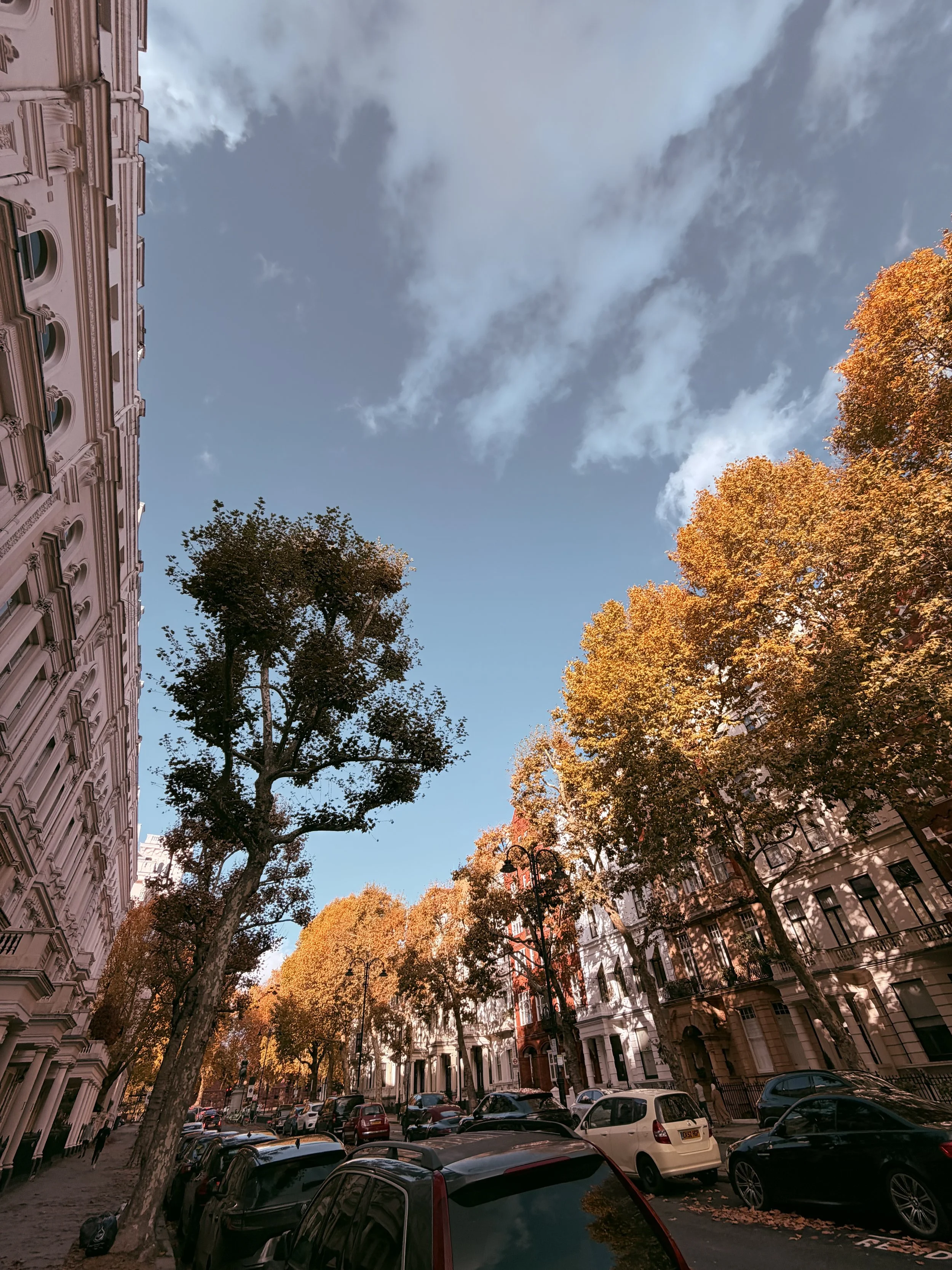 AUtumn tones in London in Octover.jpeg