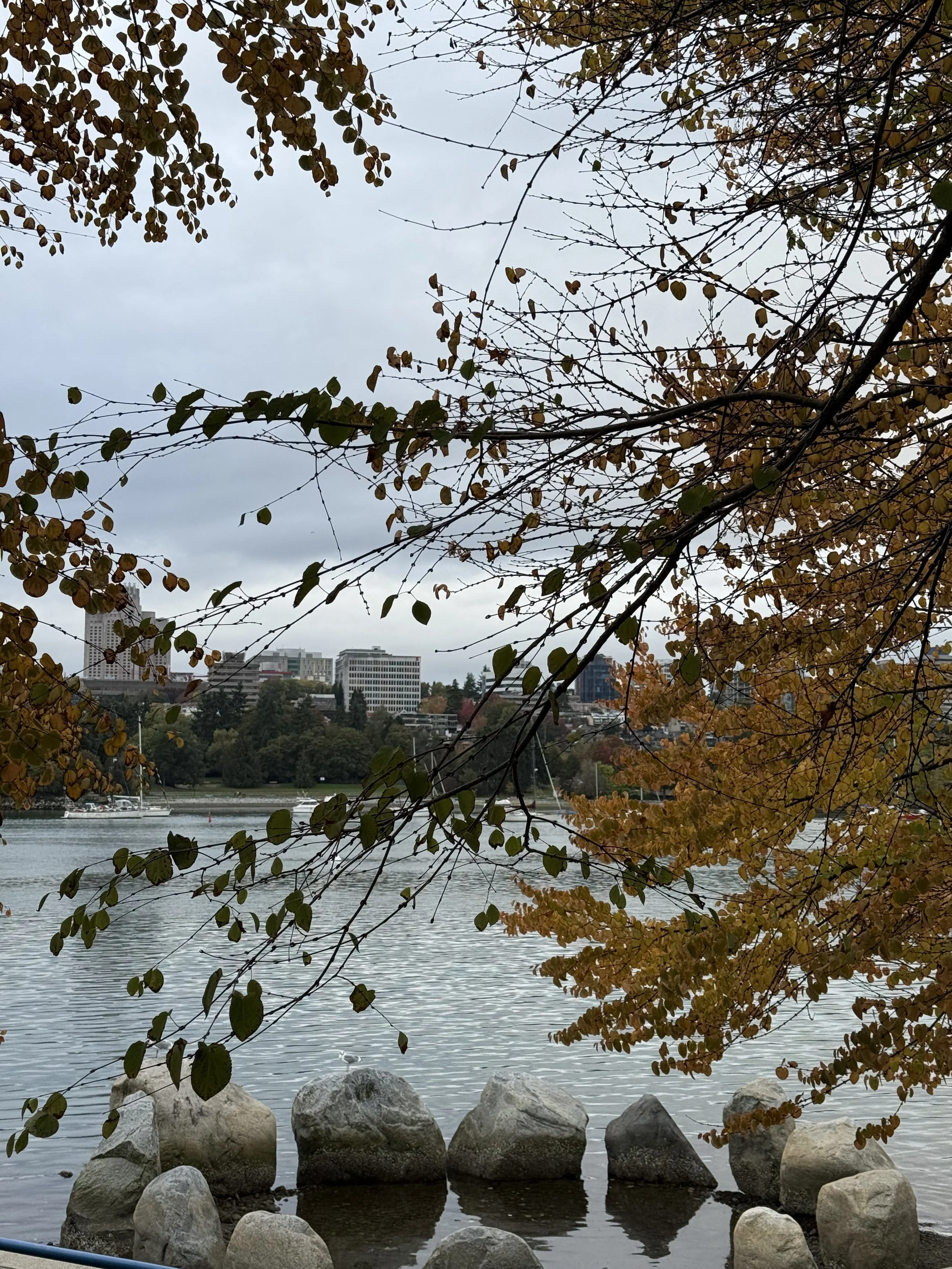 Thanksgiving walks on Granville Island.jpeg