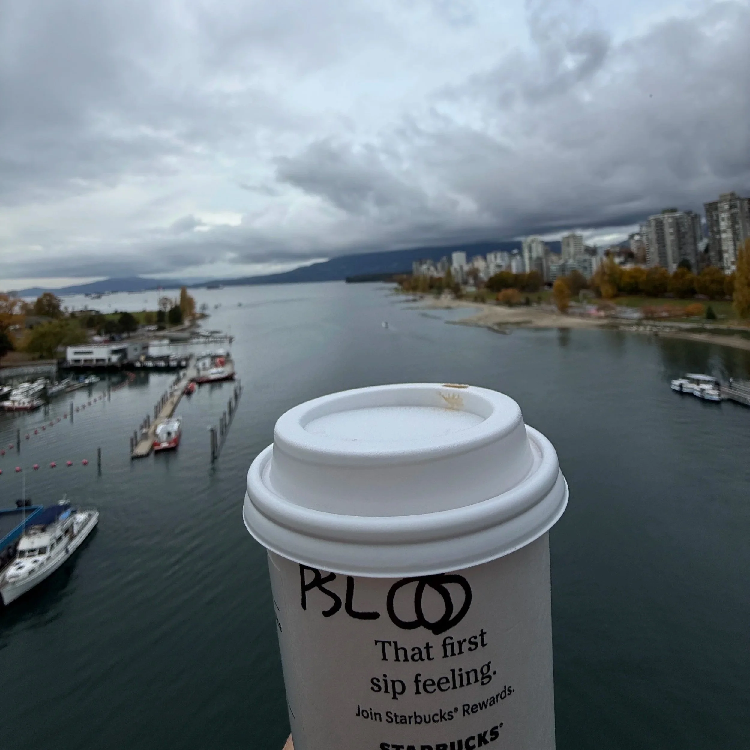 PSL+overlooking+the+westend+in+Vancouver.jpg