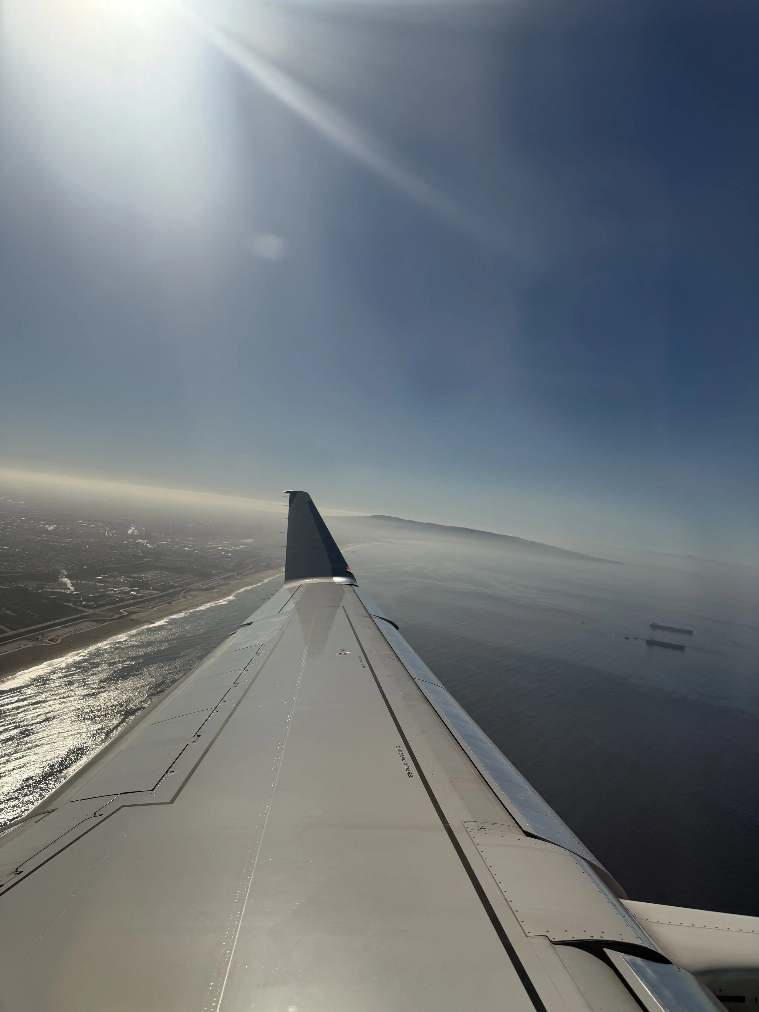 Airplane wing over Hermosa Beach.jpeg