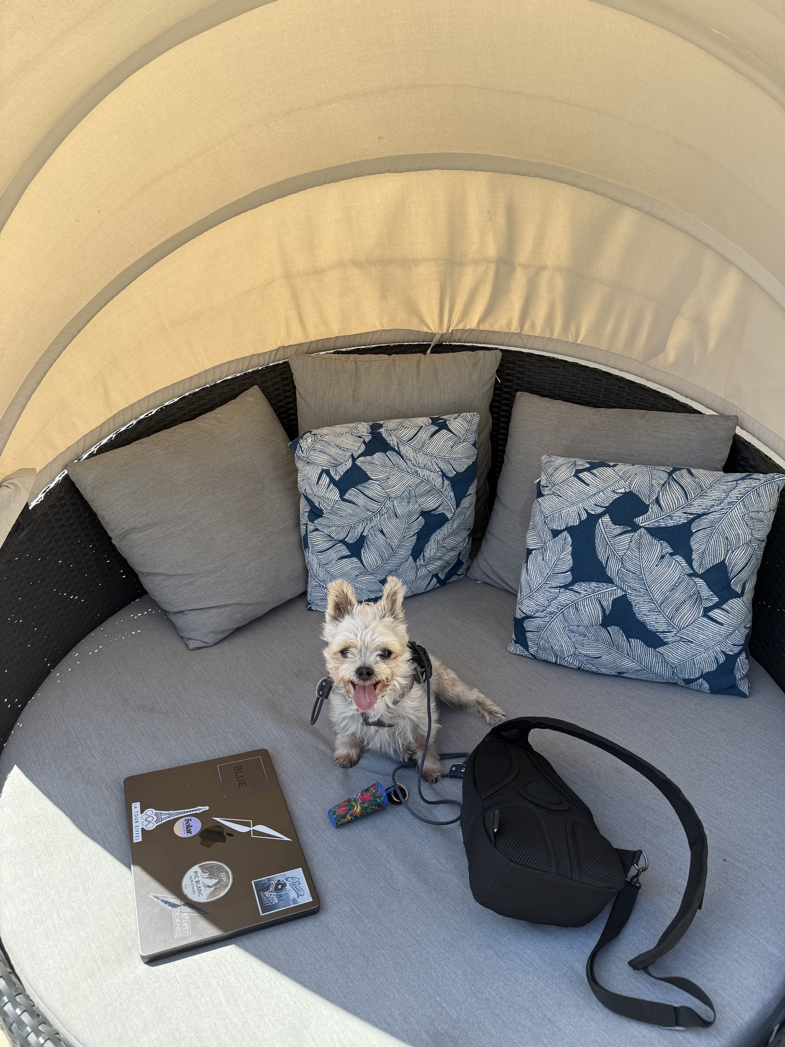 Work buddy pool side.jpeg