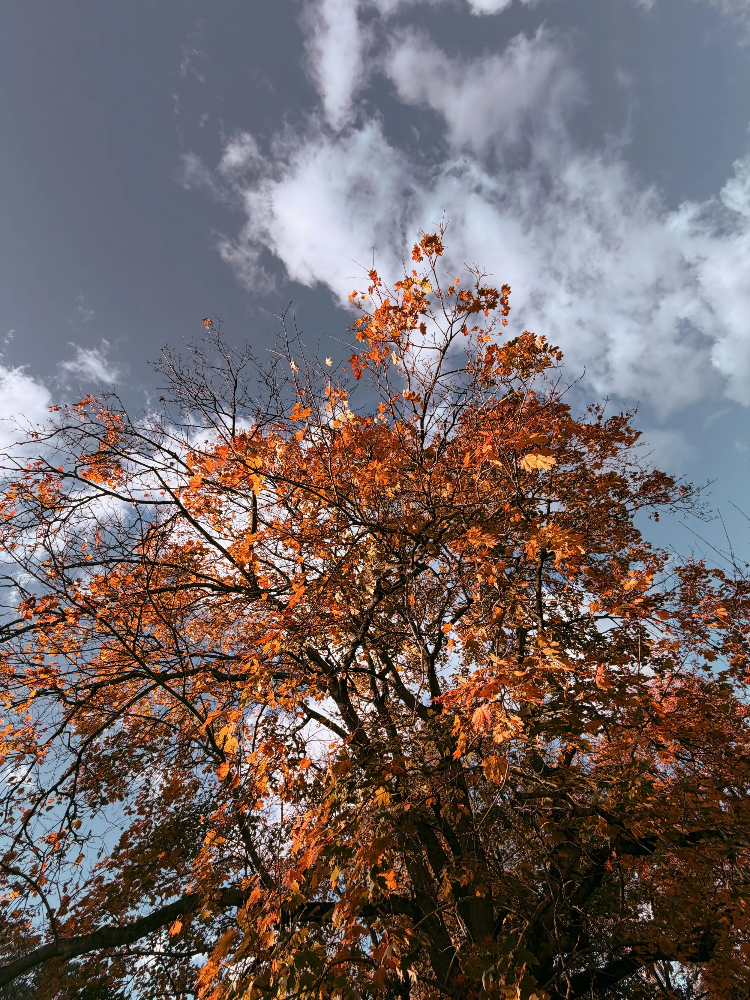 Sky and Colour — London in Autumn
