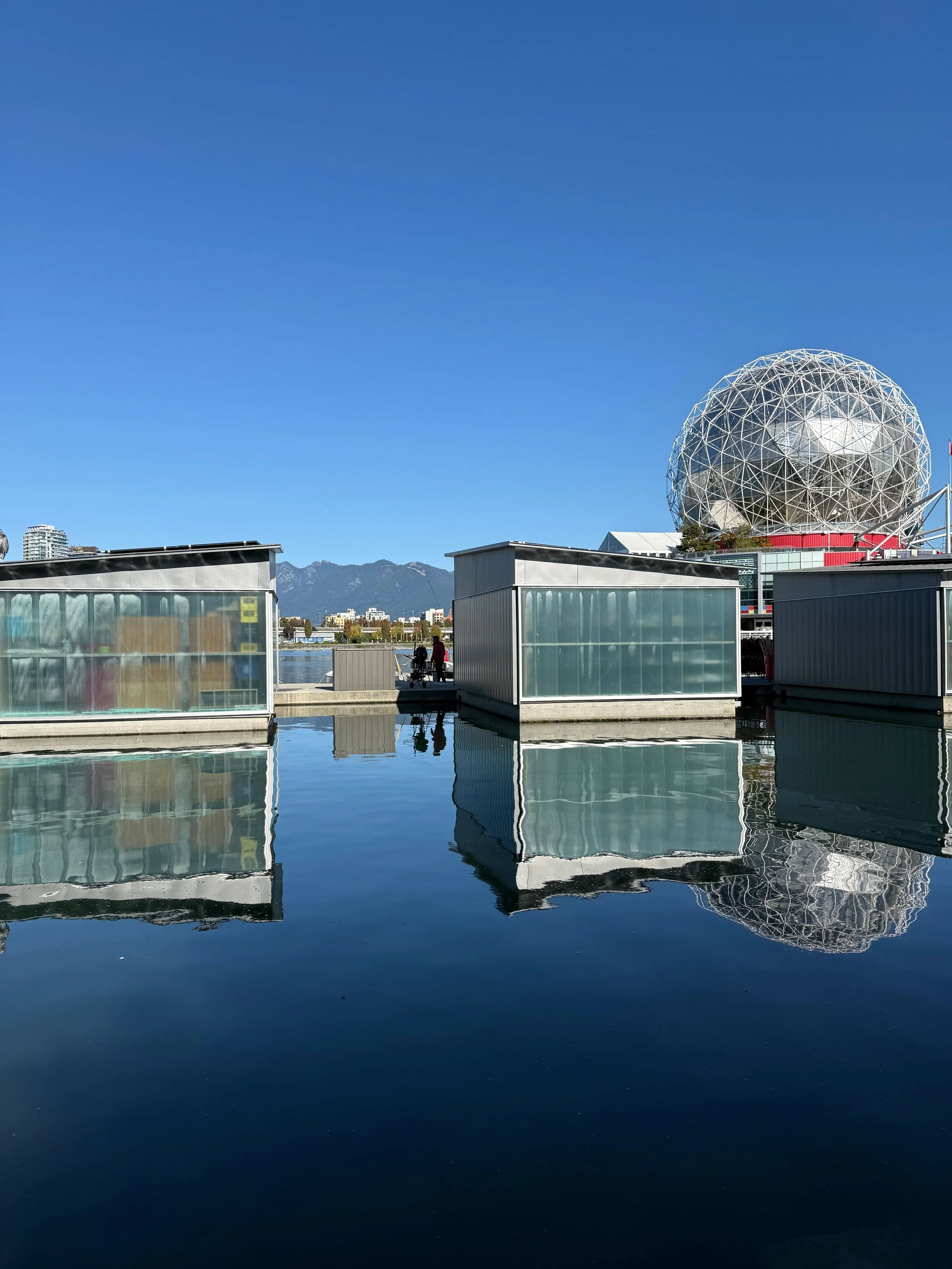 Still Water, Still Mind — Reflections of Vancouver