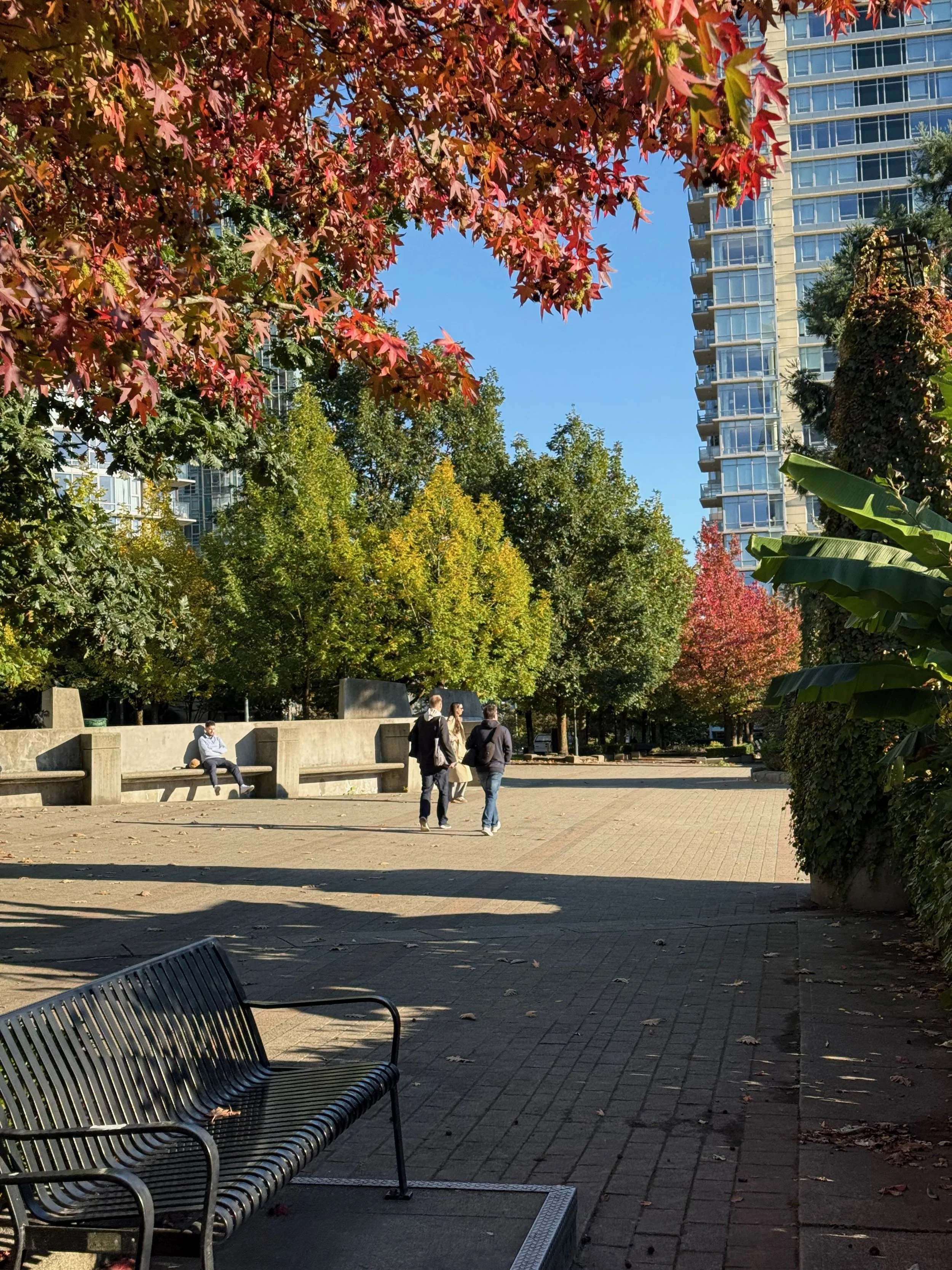 Vancouver in Transition — Autumn Light and Calm