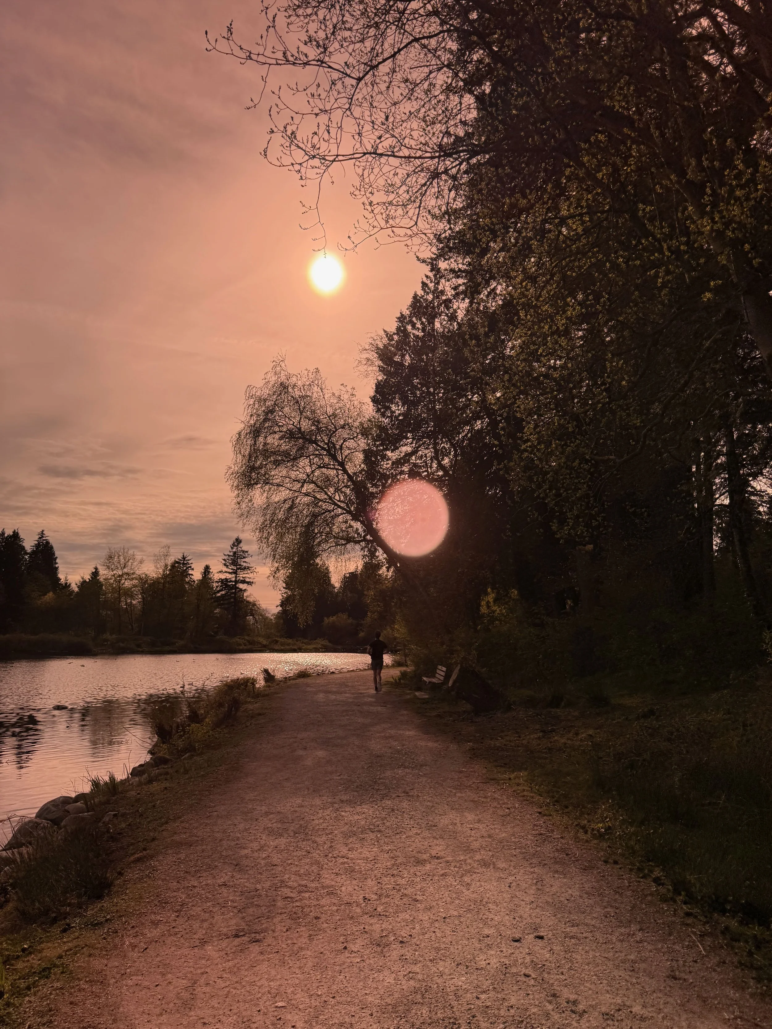 Walks in Light — The Everyday Design of Vancouver