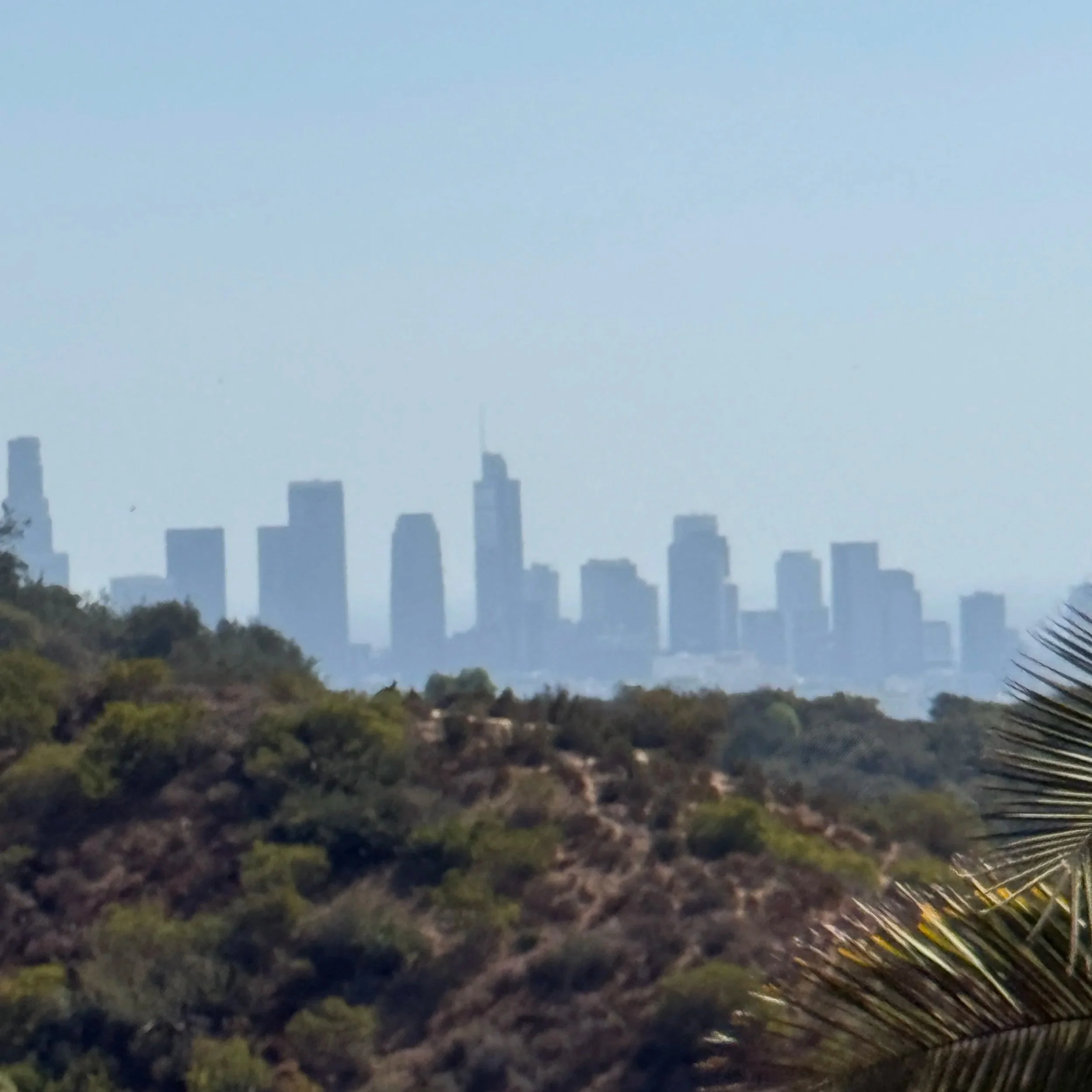 Los Angeles Skyline from Hollywood Hills