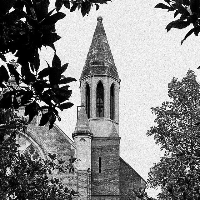 Historic London church framed softly through leaves, creating a quiet architectural silhouette.